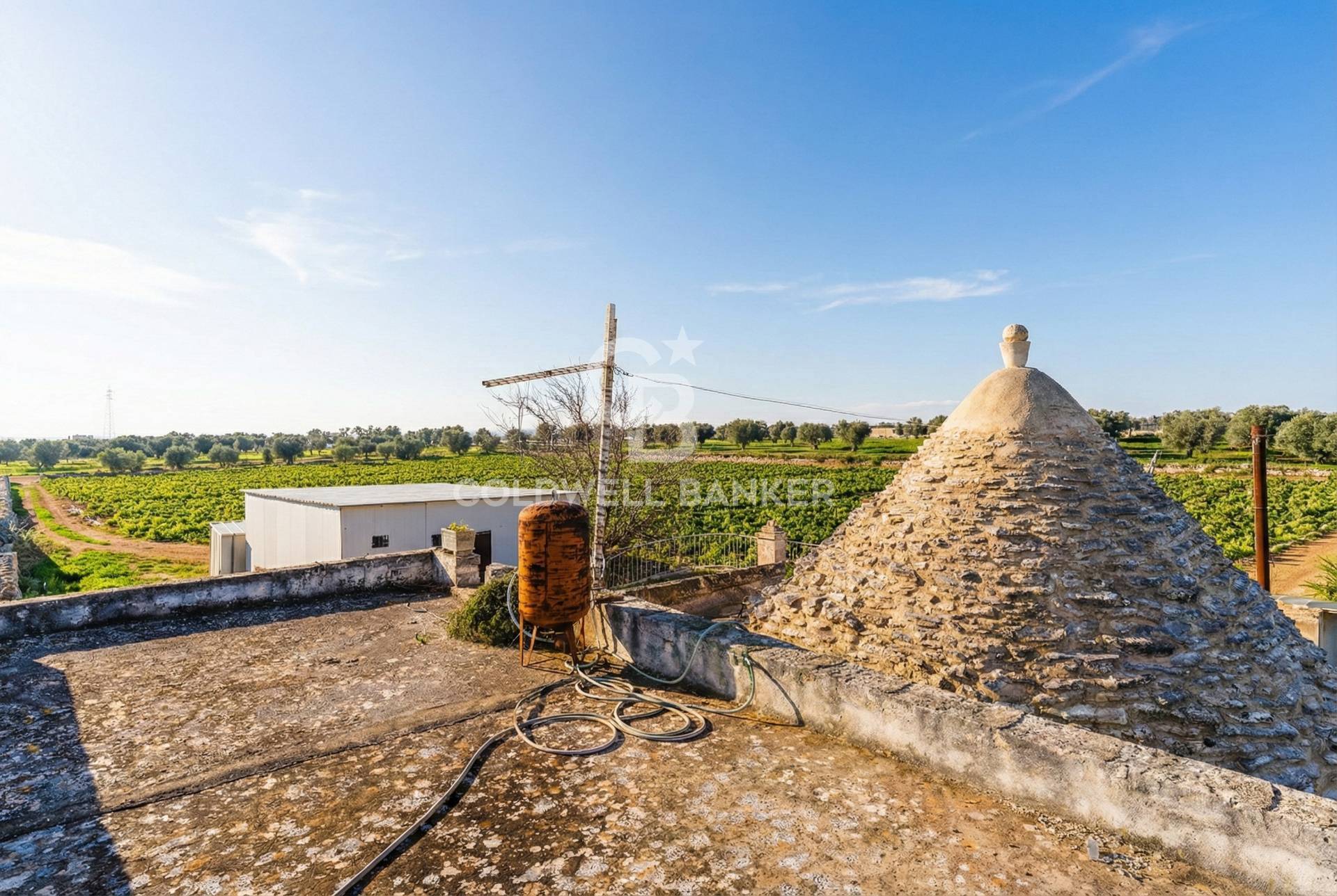 Terreno agricolo in vendita a Polignano a Mare