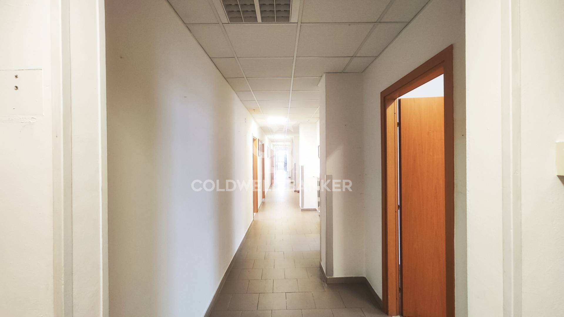 Edificio Direzionale in affitto a Bari, Japigia