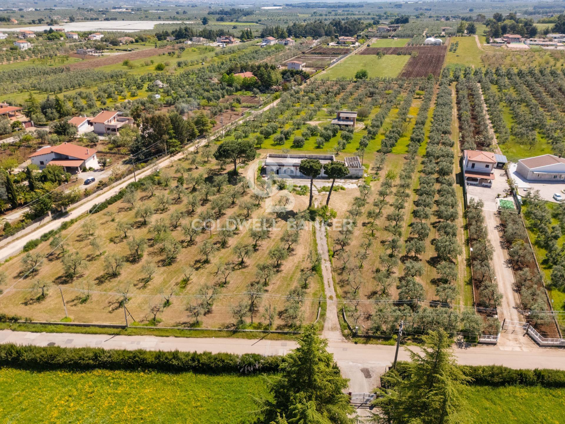 Villa in vendita a Corato