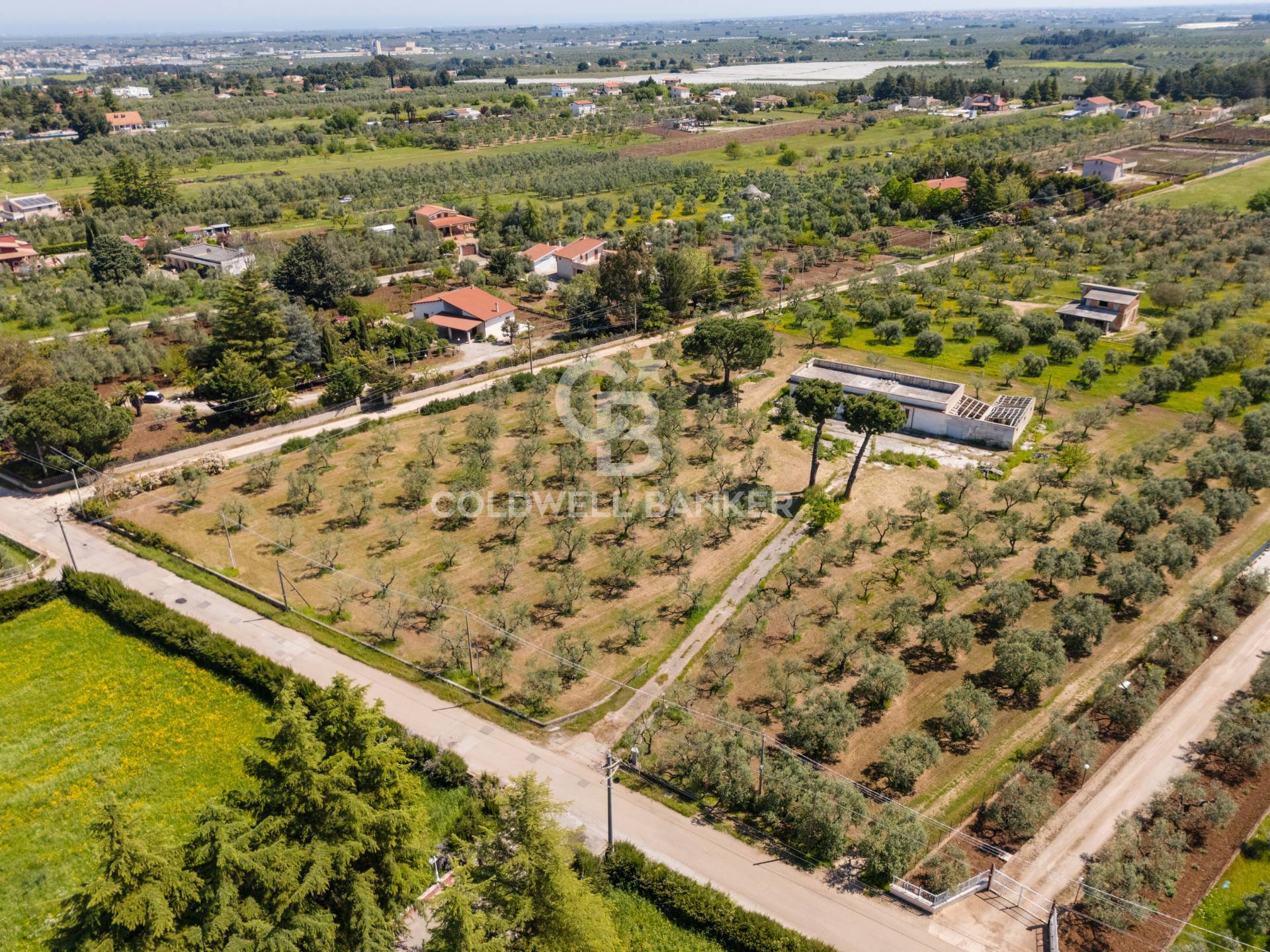 Villa in vendita a Corato
