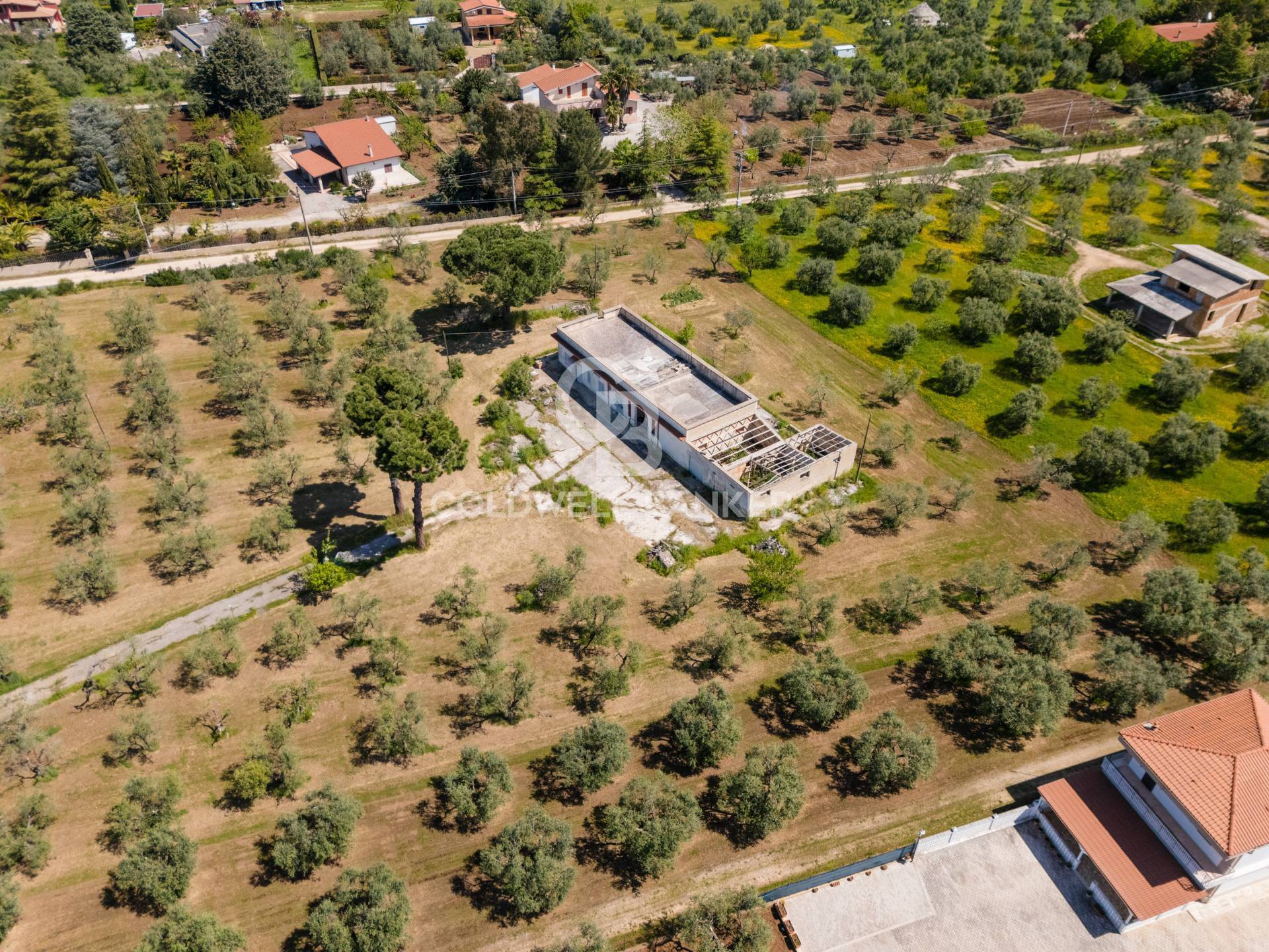 Villa in vendita a Corato