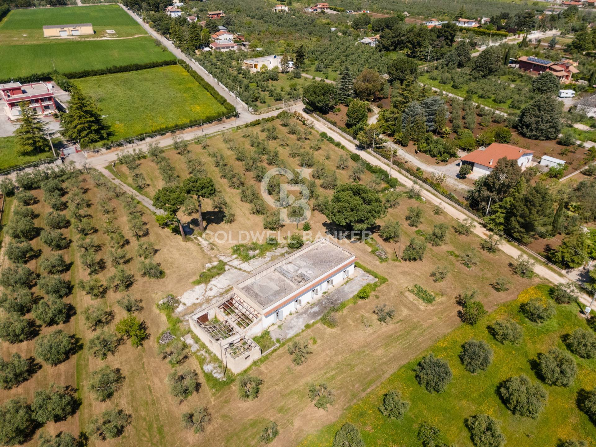 Villa in vendita a Corato