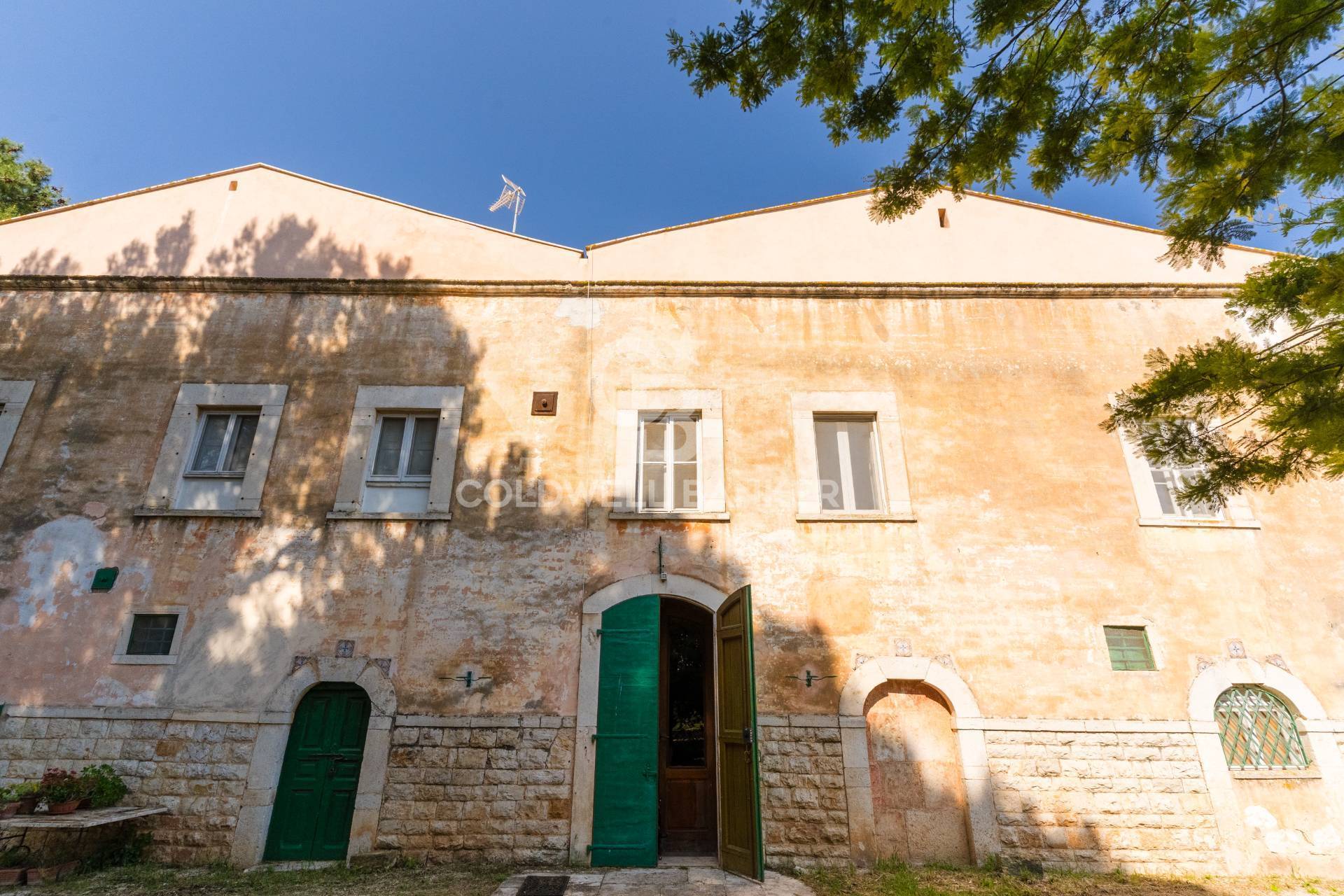 Tenuta in vendita a Corato