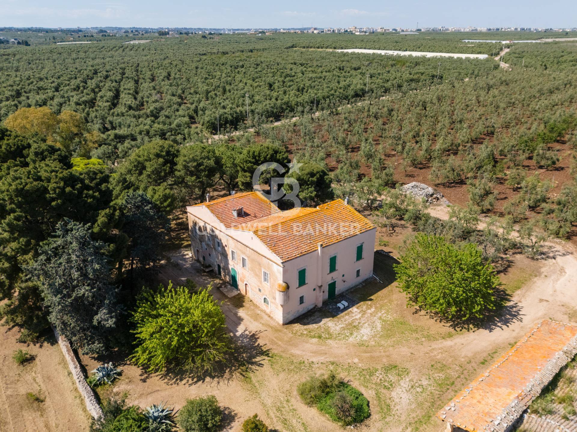 Tenuta in vendita a Corato