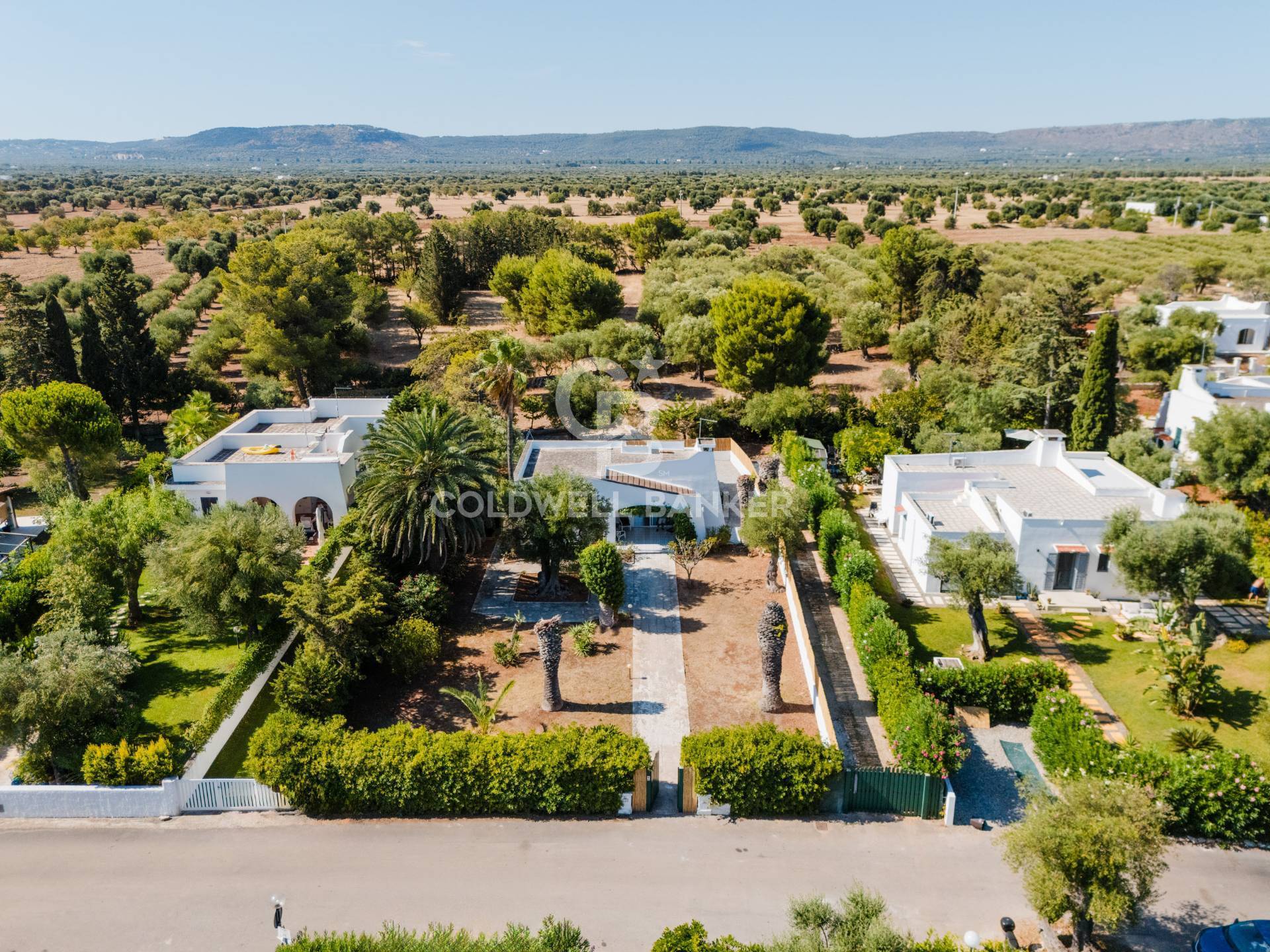 Villa in affitto a Ostuni