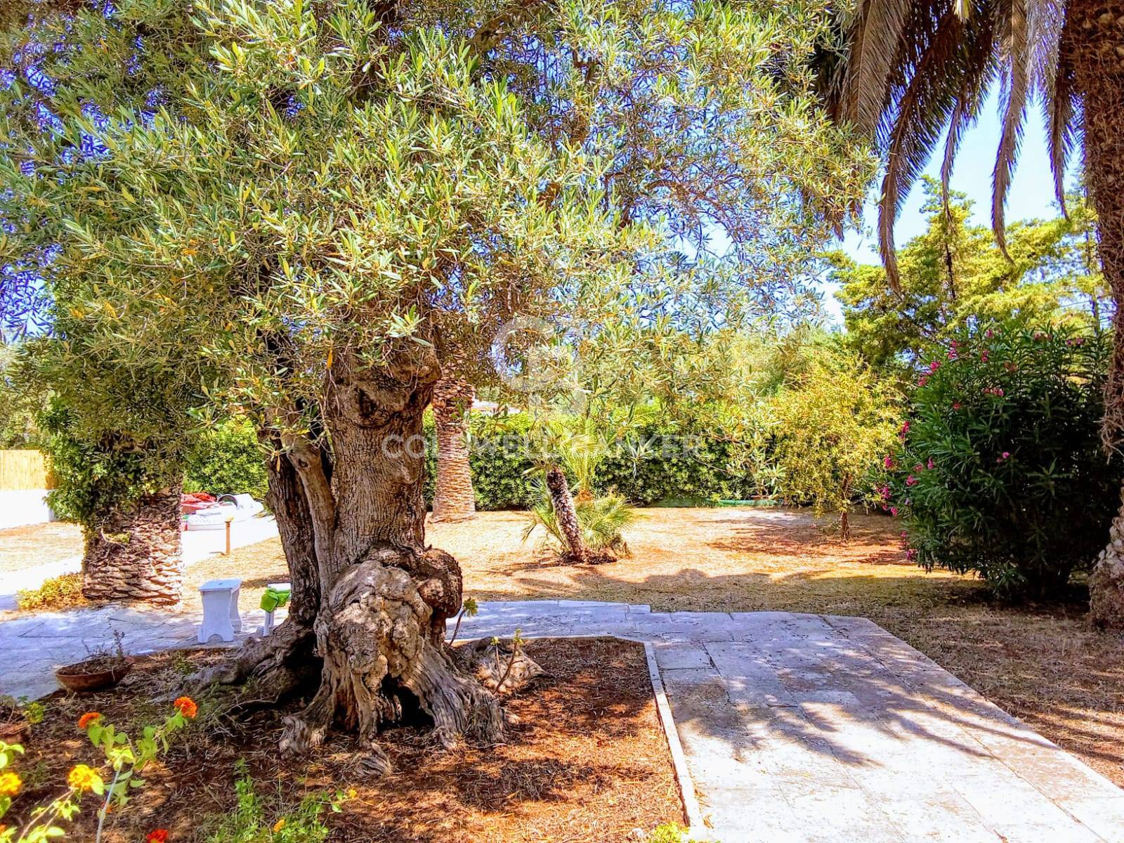Villa in affitto a Ostuni