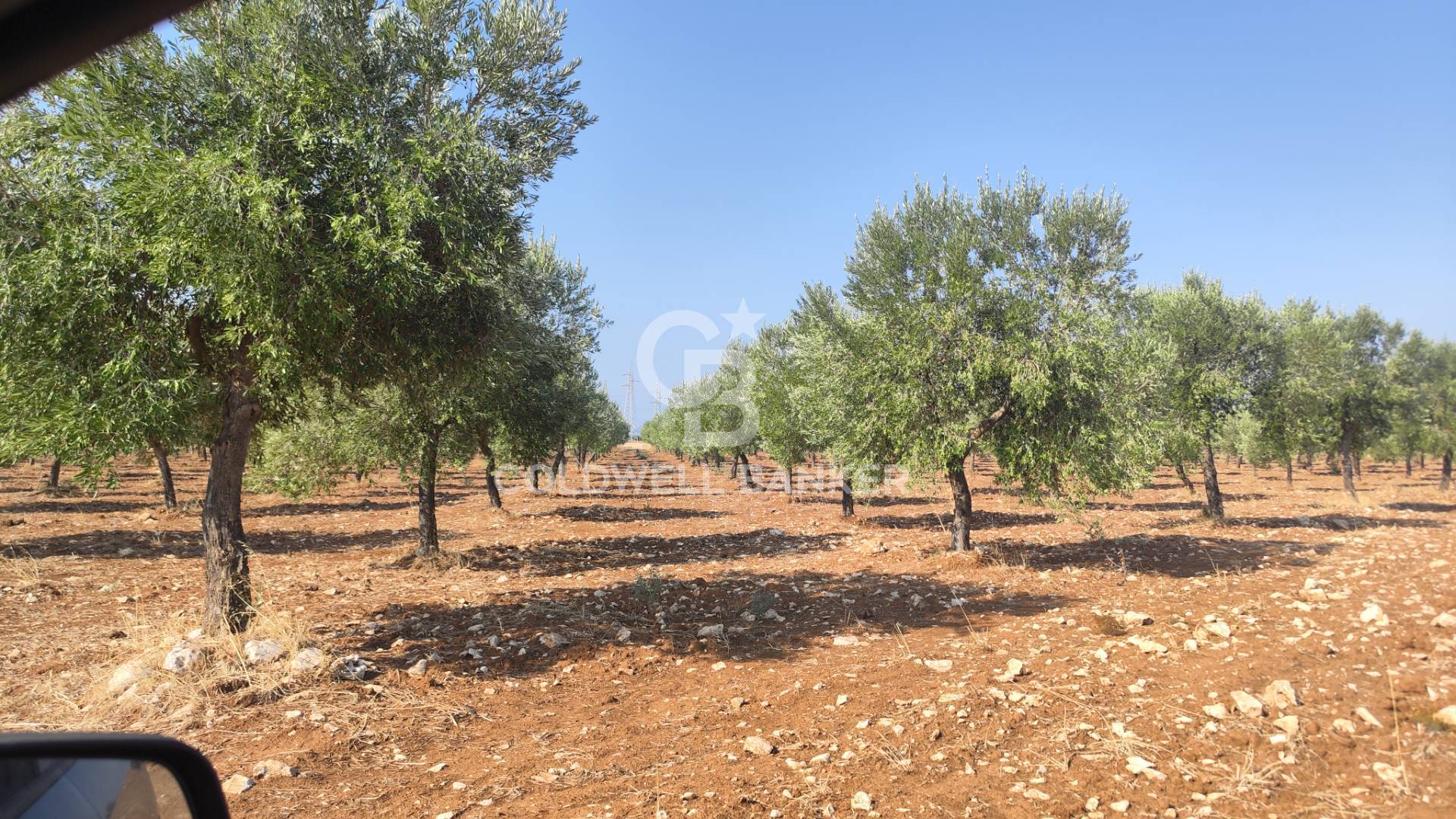 Terreno agricolo in vendita a Taranto