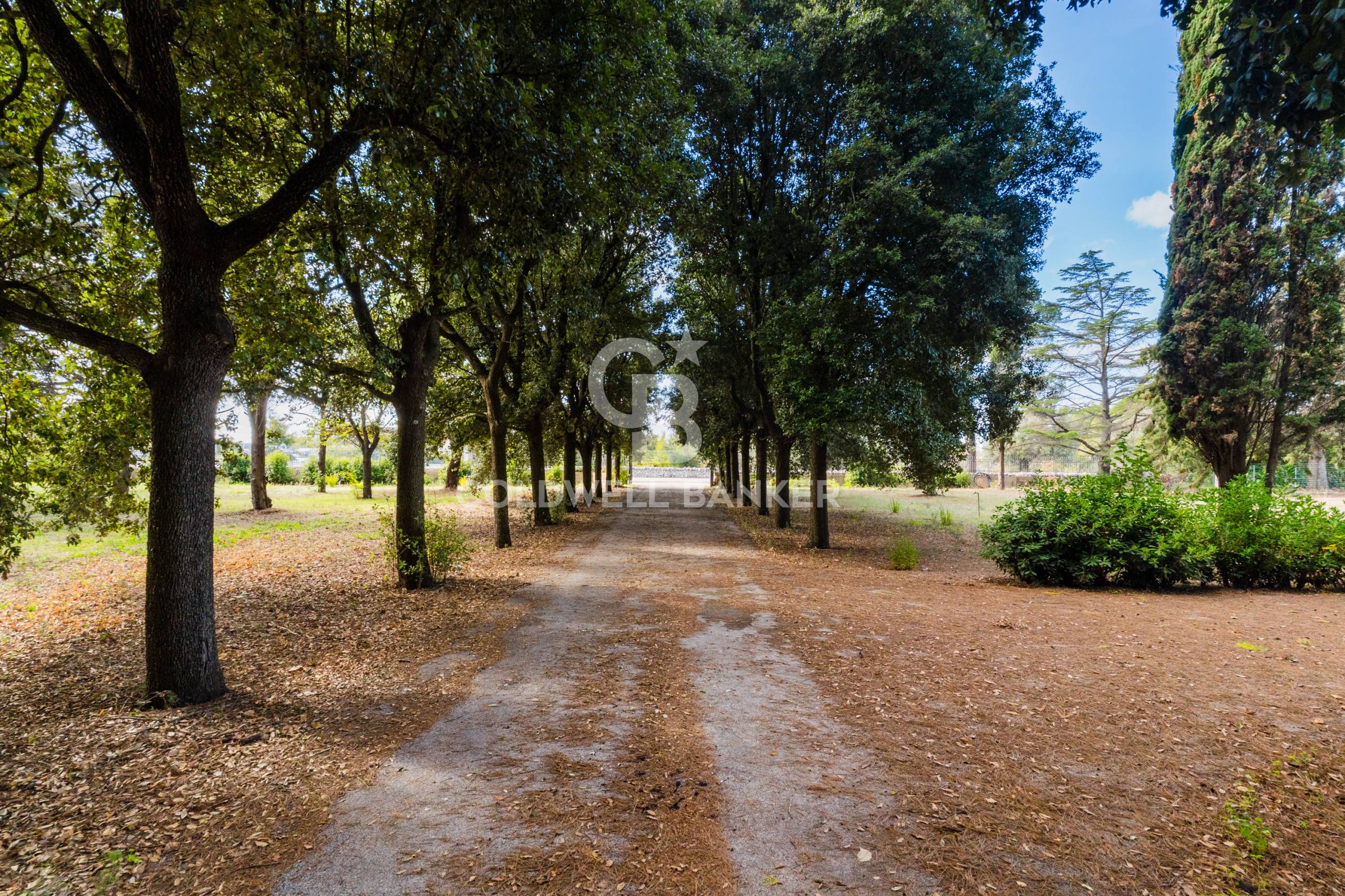 Villa in vendita a Carovigno