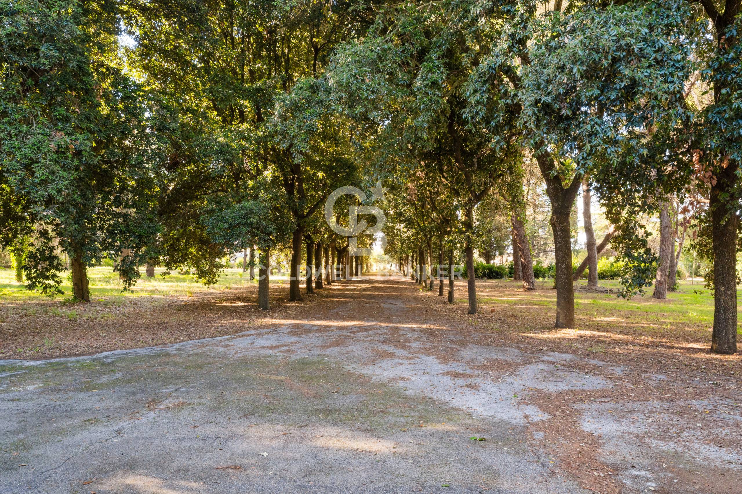 Villa in vendita a Carovigno
