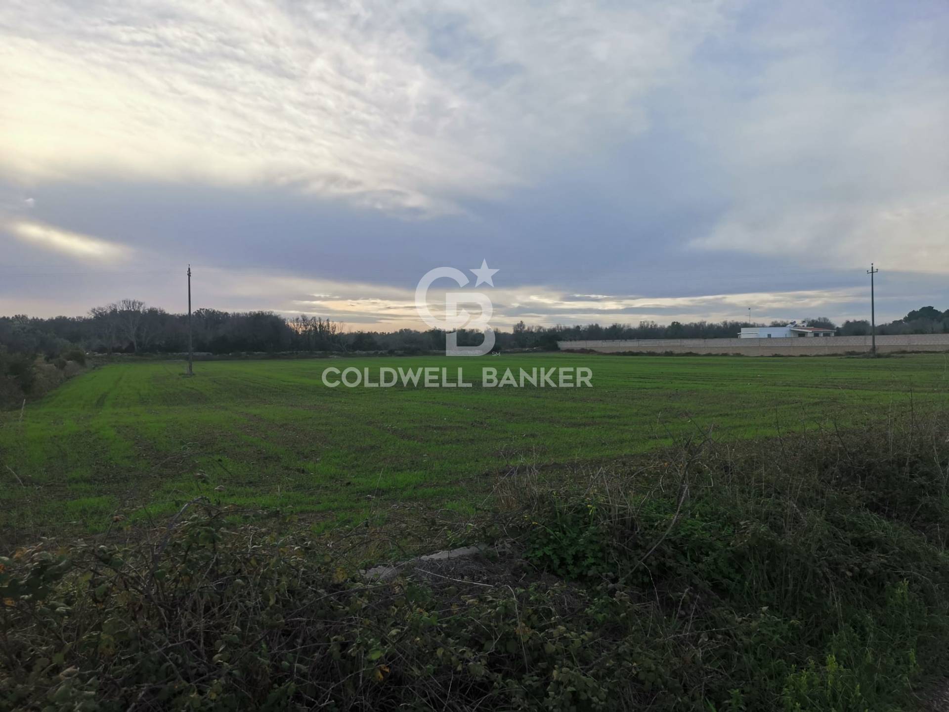 Terreno agricolo in vendita a Melendugno