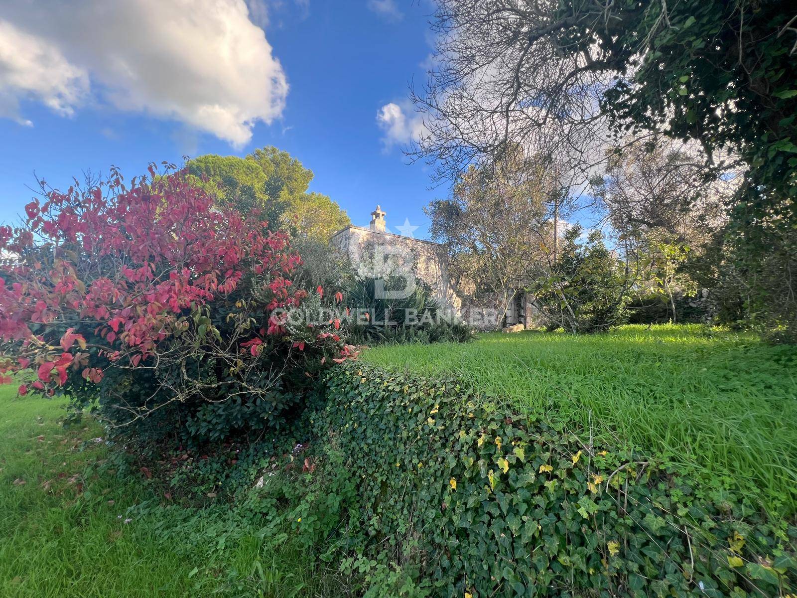 Terreno agricolo in vendita a Ostuni