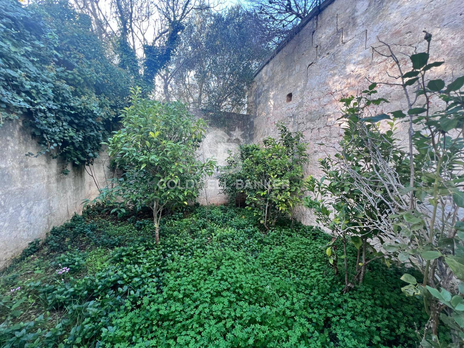 Terreno agricolo in vendita a Ostuni