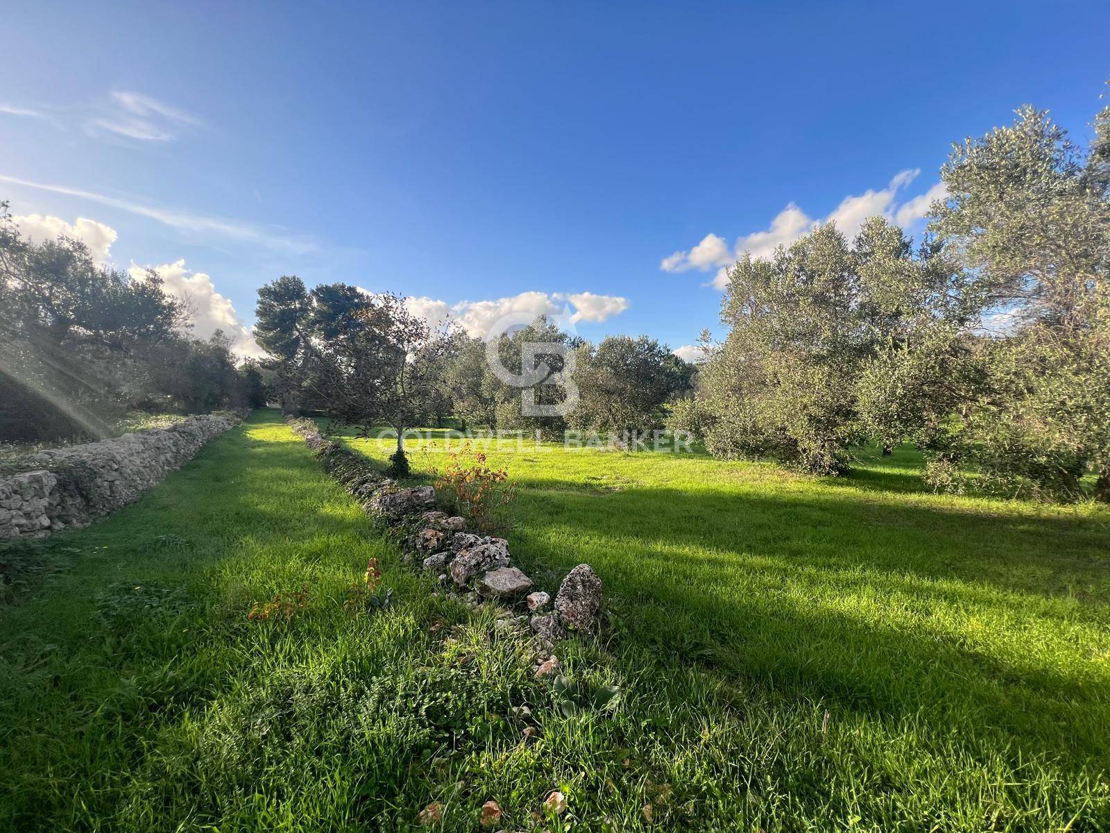 Terreno agricolo in vendita a Ostuni