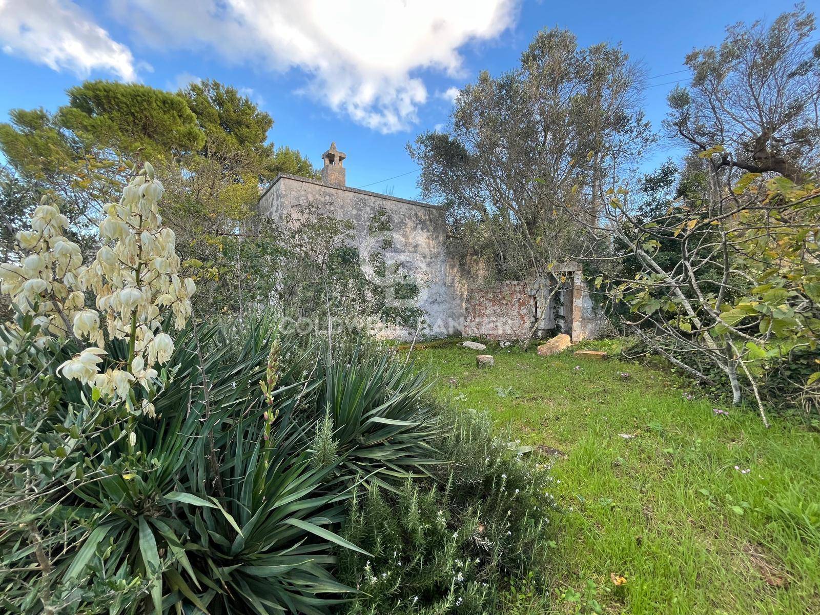 Terreno agricolo in vendita a Ostuni