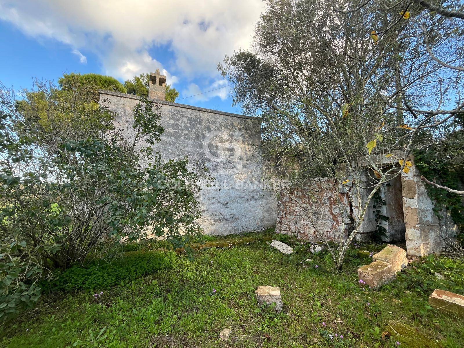 Terreno agricolo in vendita a Ostuni