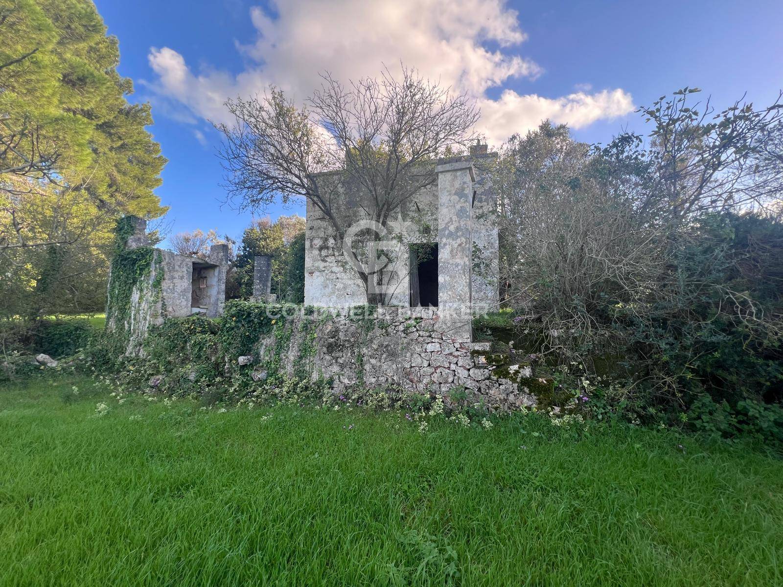 Terreno agricolo in vendita a Ostuni