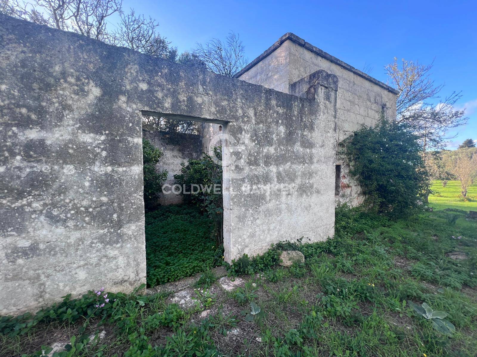 Terreno agricolo in vendita a Ostuni