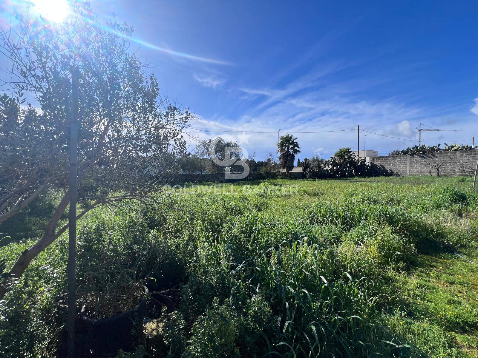 Terreno Edificabile in vendita a Sogliano Cavour