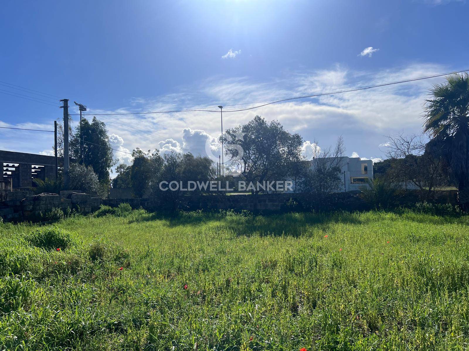 Terreno Edificabile in vendita a Sogliano Cavour