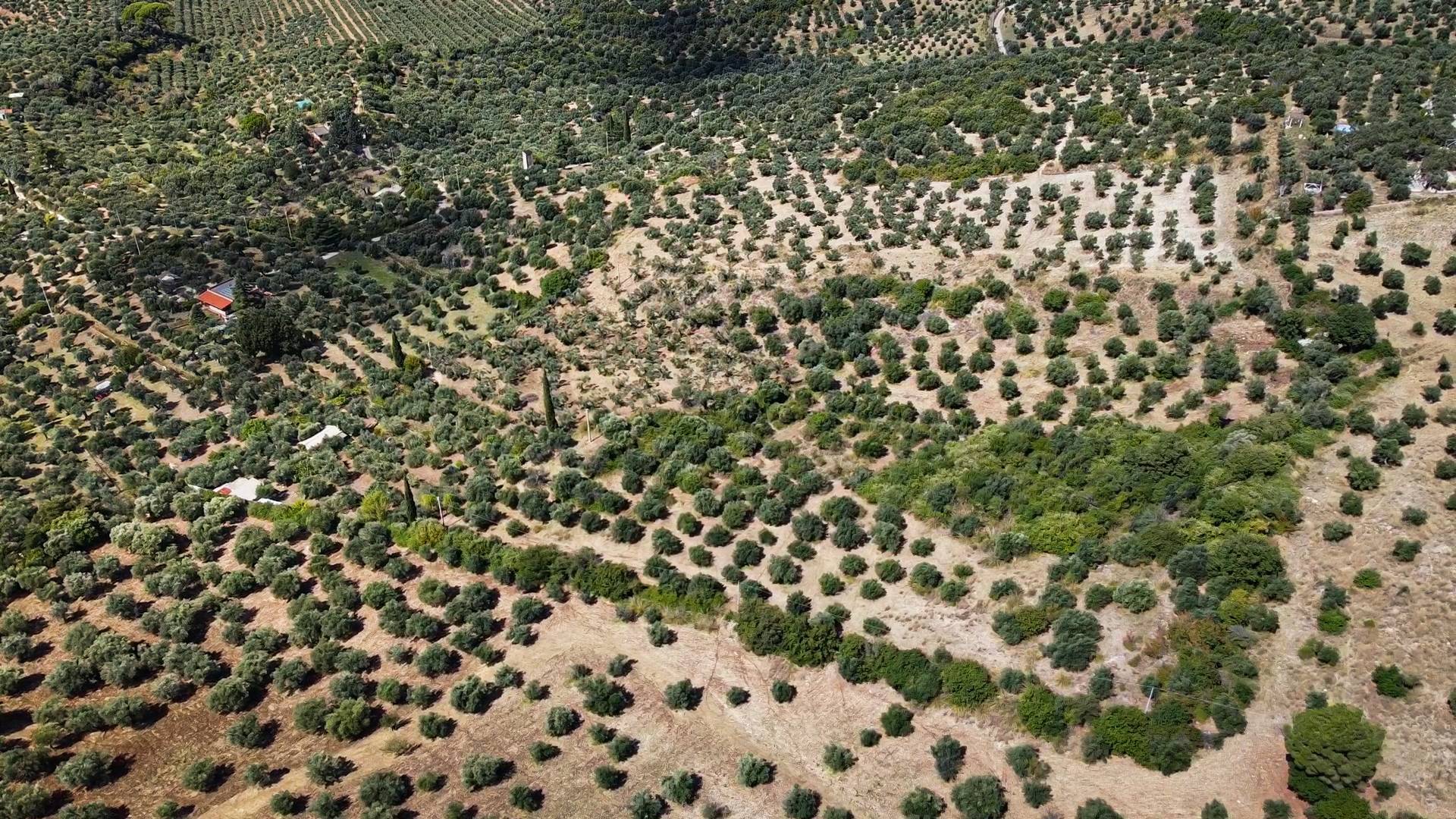 Terreno in vendita a Tivoli, Tivoli citt