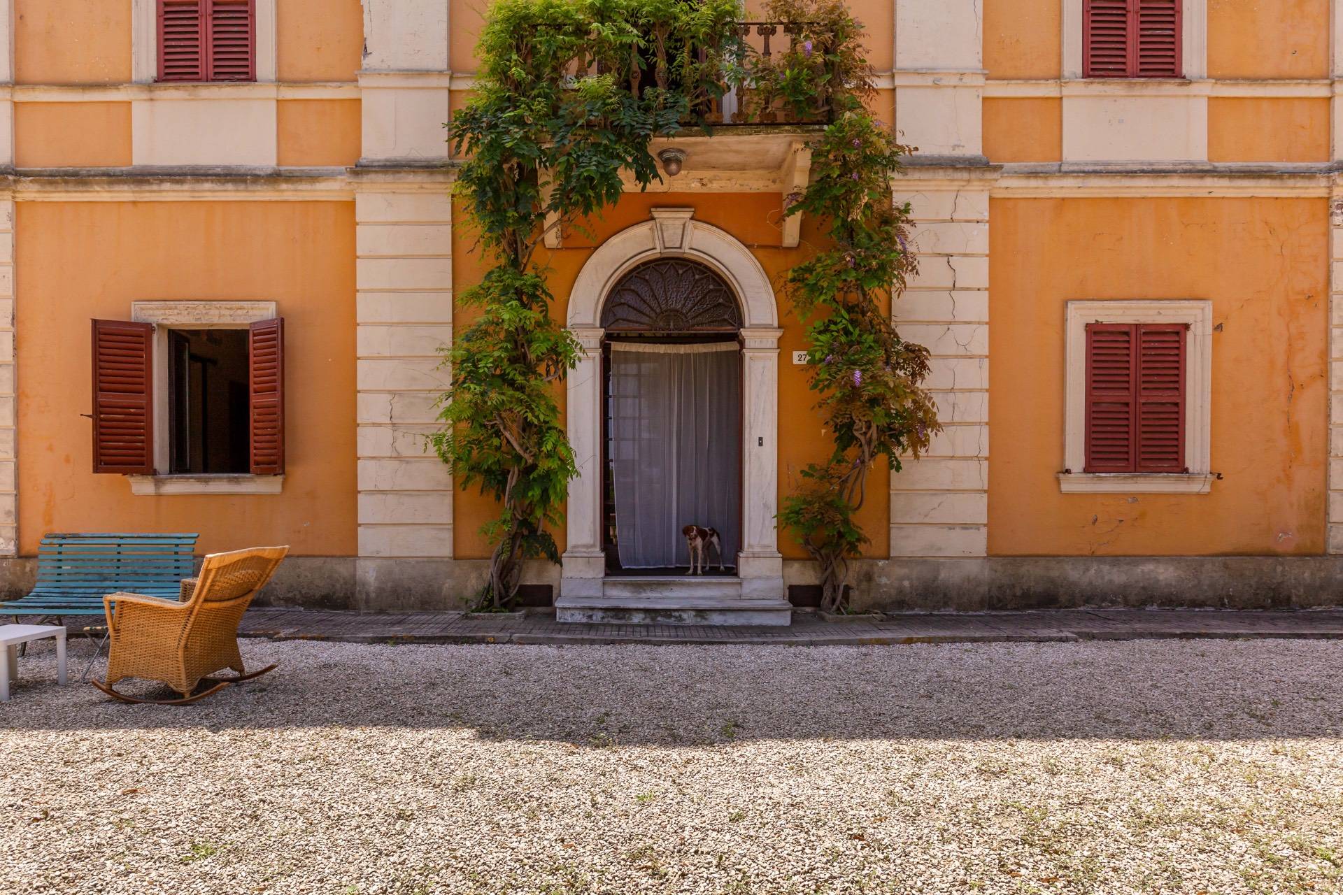 immagine annuncio 4 di 6
