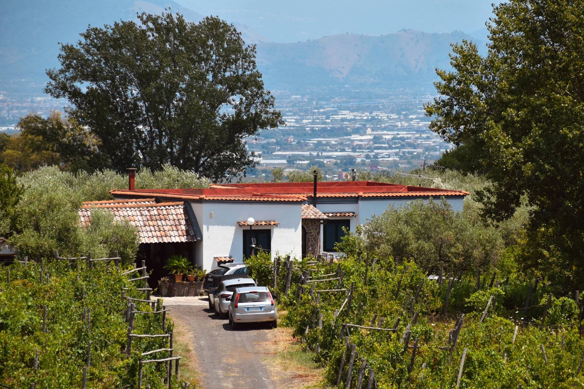 Tenuta in vendita a Boscotrecase