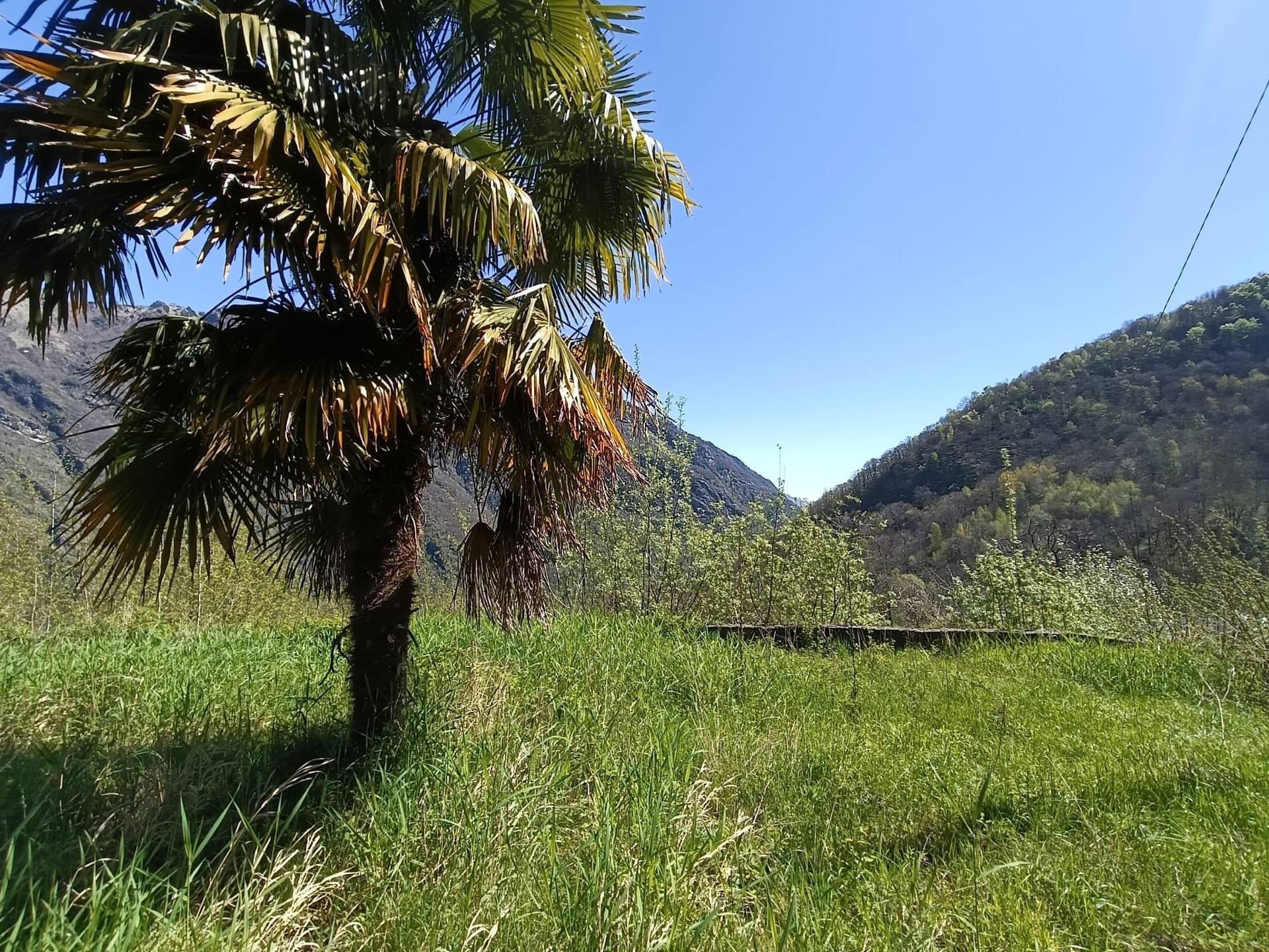 Rustico/Casale/Corte in vendita a Locana