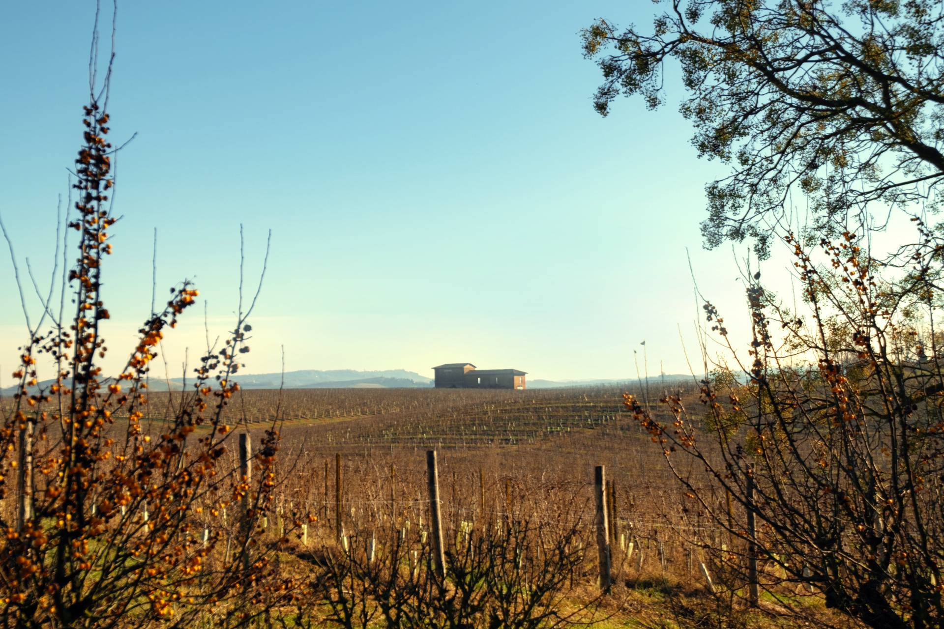 Villa in vendita a Nizza Monferrato