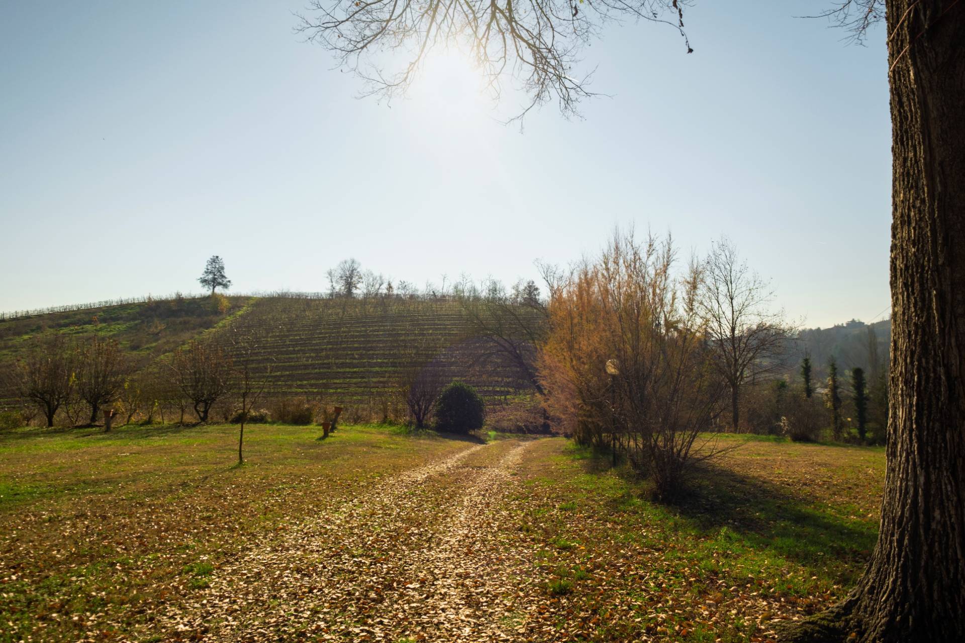 Villa in vendita a Nizza Monferrato