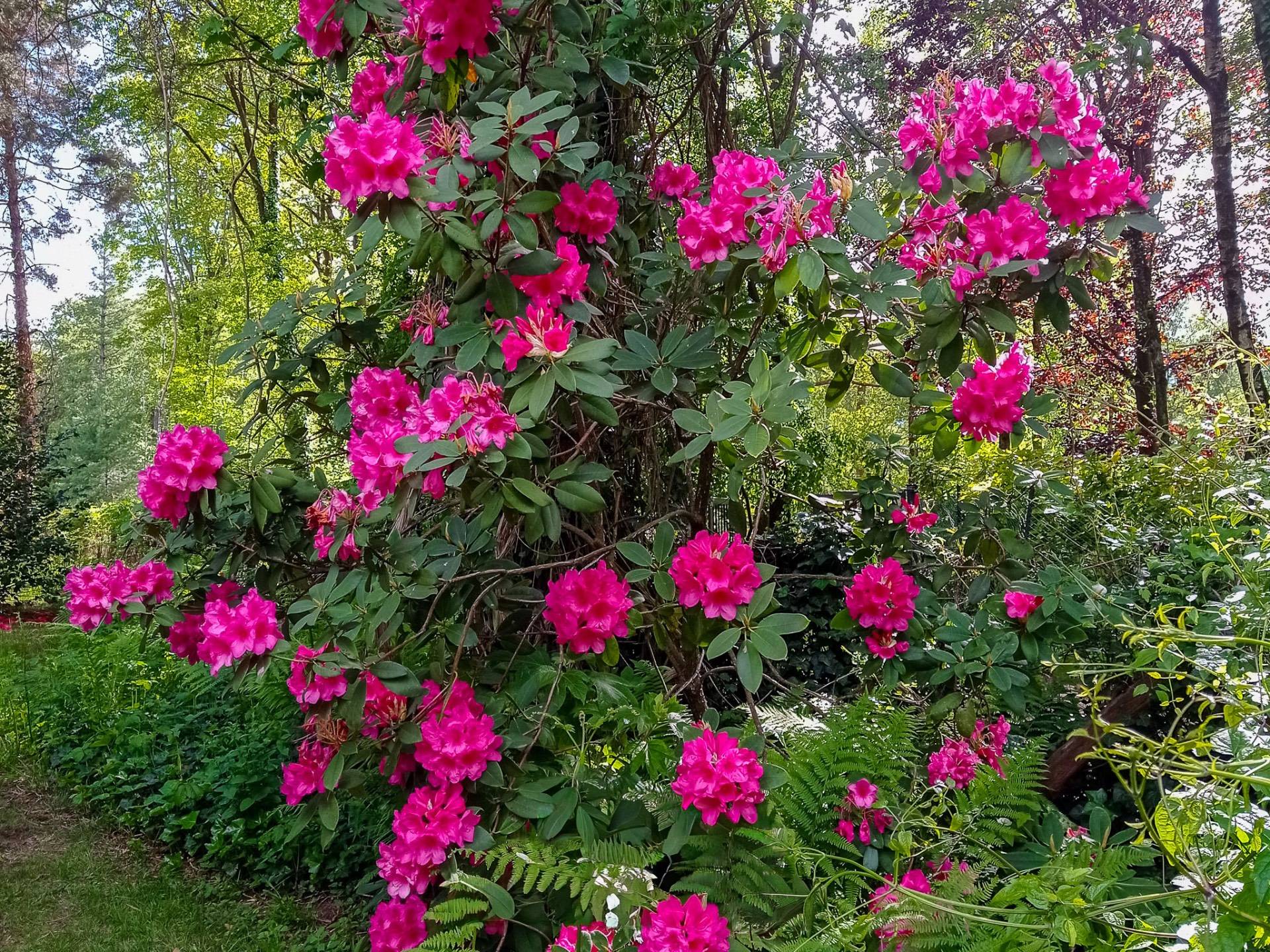 Villa in vendita a Cadrezzate con Osmate