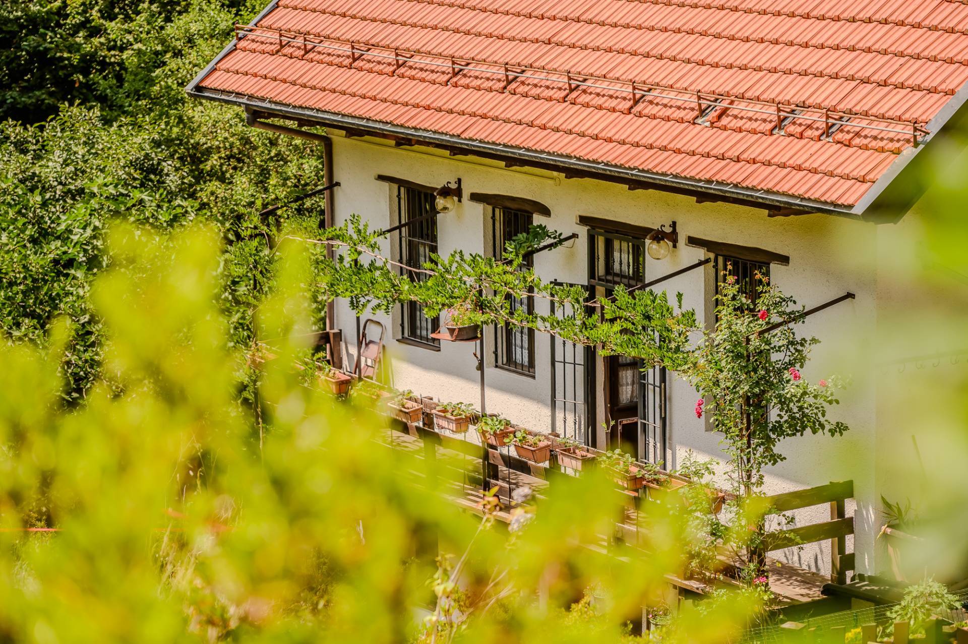 Casa indipendente in vendita a Quarna Sotto
