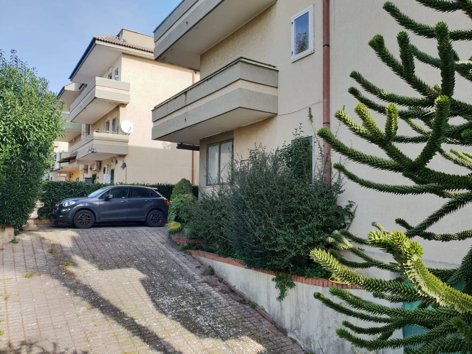 immagine annuncio 1 di 6