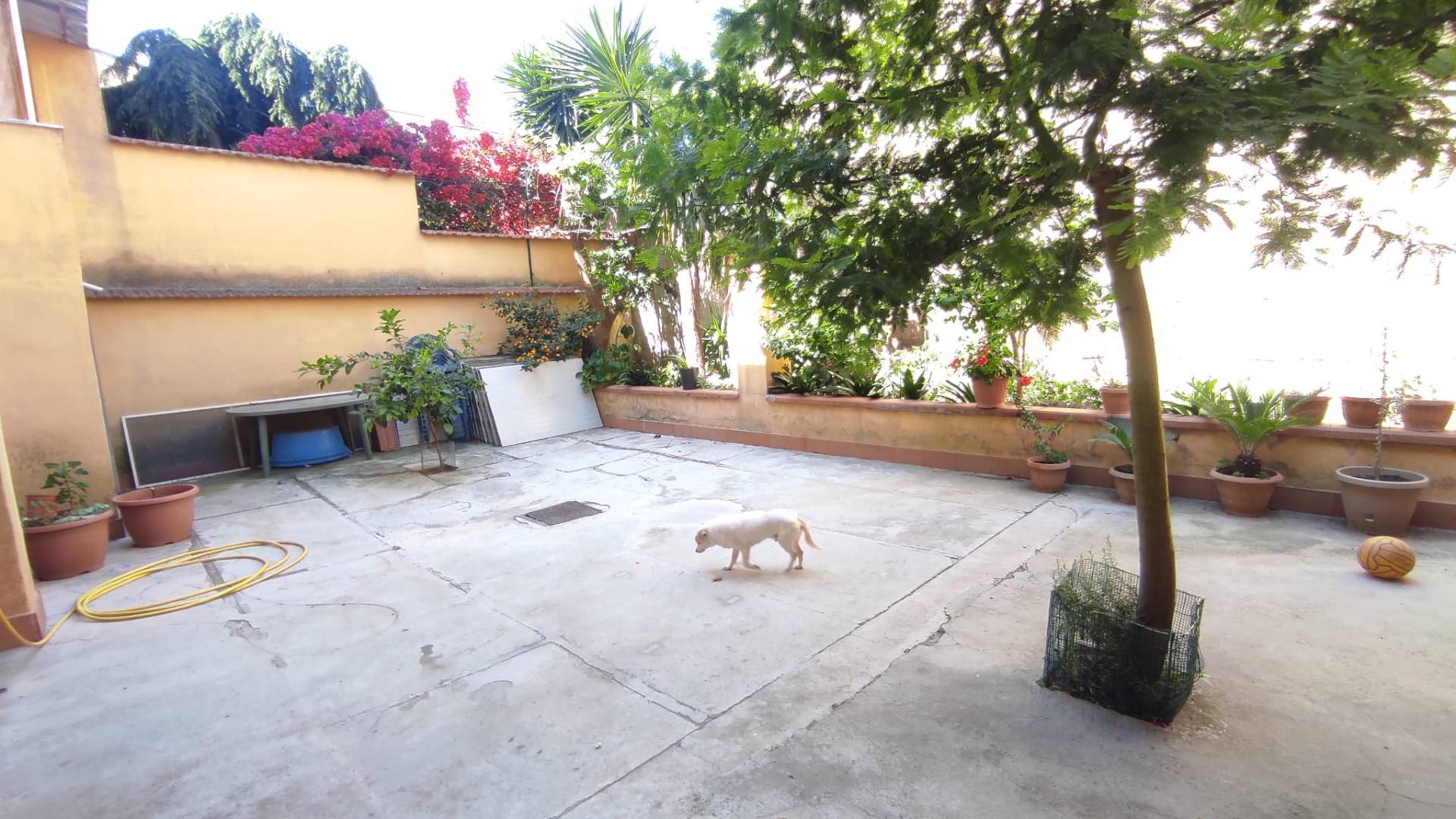Casa singola in vendita a Maddaloni
