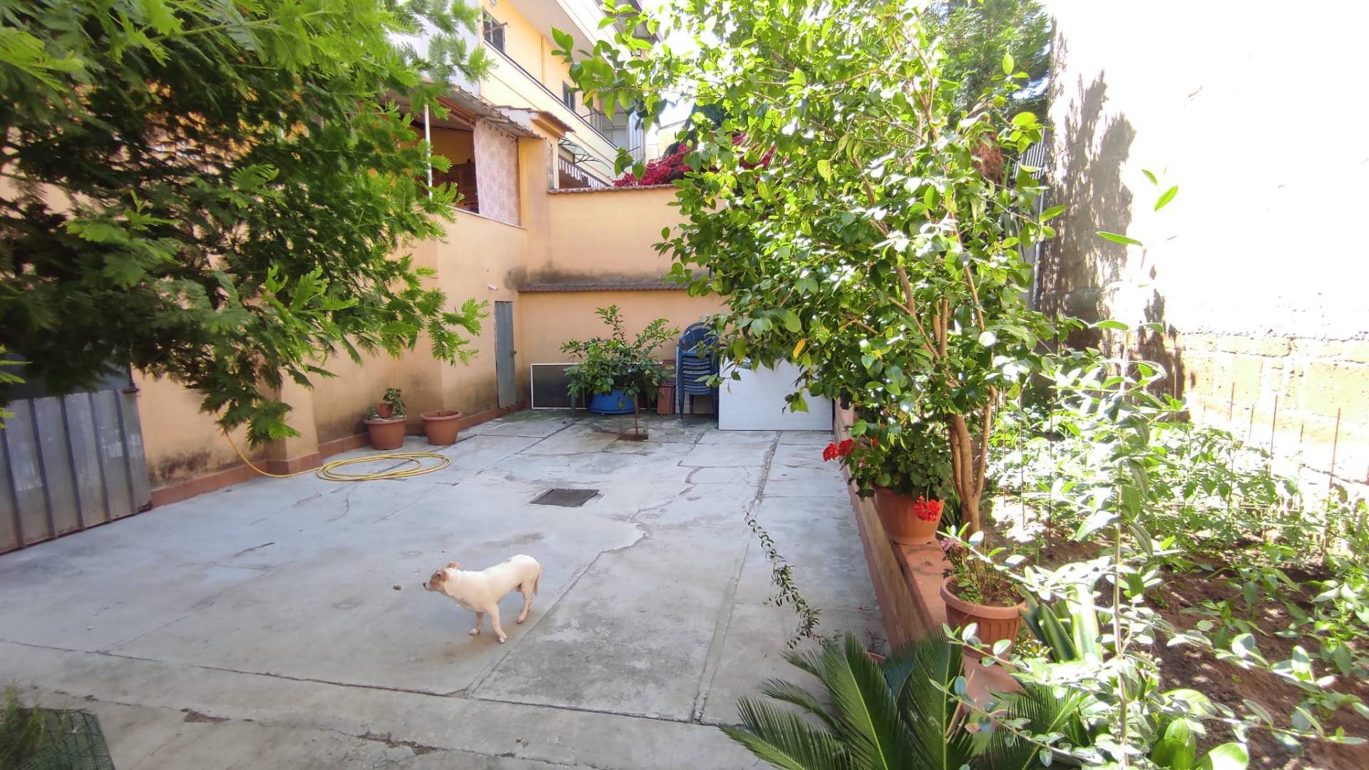 Casa singola in vendita a Maddaloni