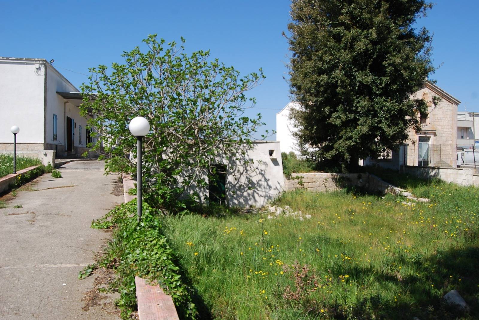 Terreno agricolo in vendita a Martina Franca
