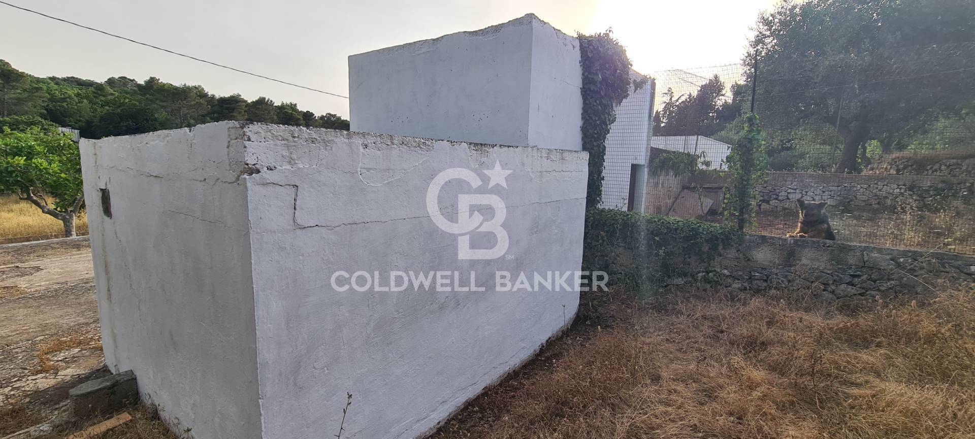 Trullo in vendita a Martina Franca