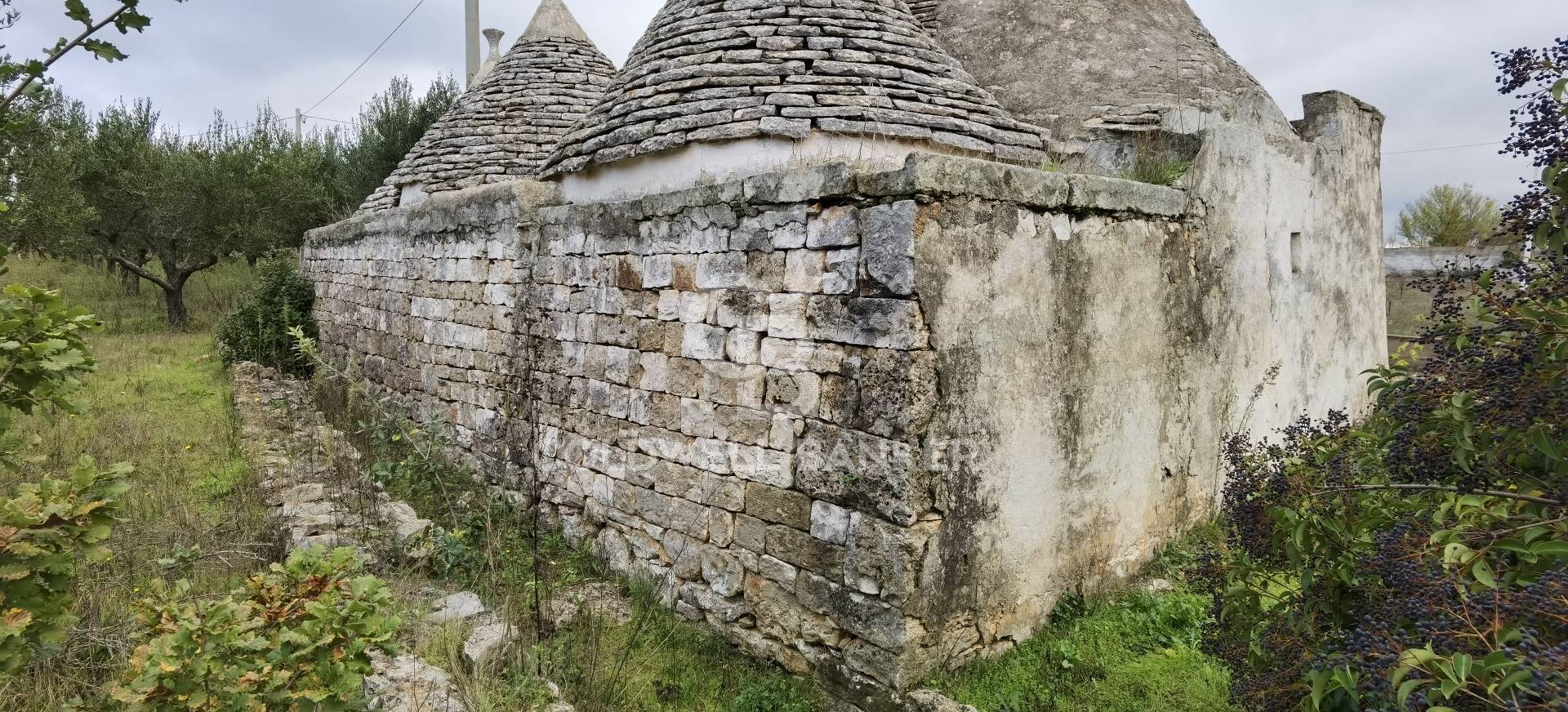 Trullo in vendita a Martina Franca