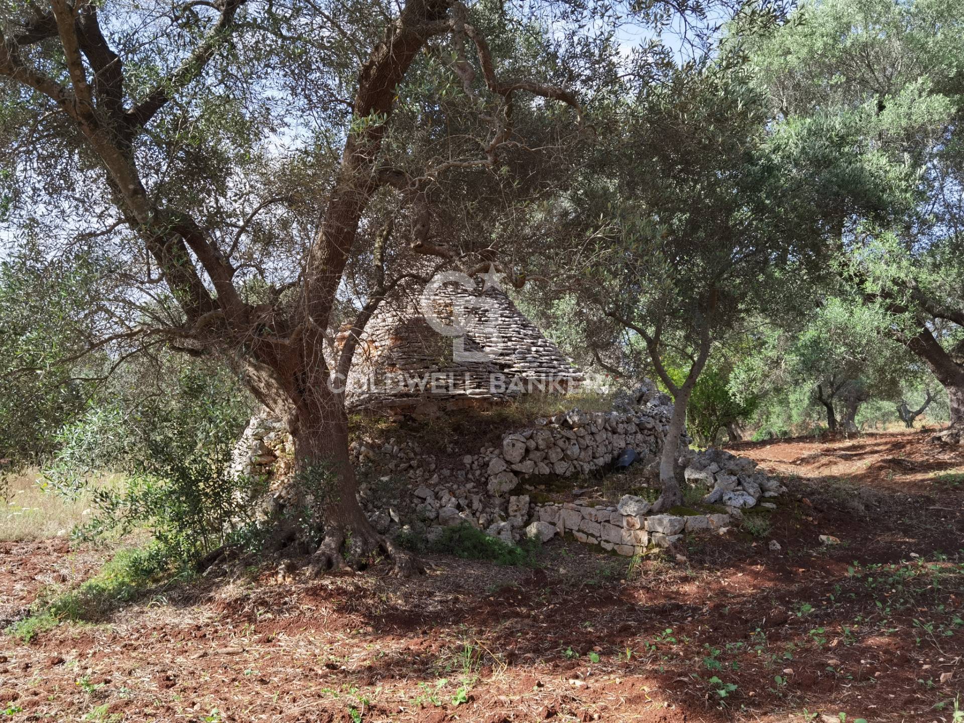 Trullo in vendita a Ceglie Messapica