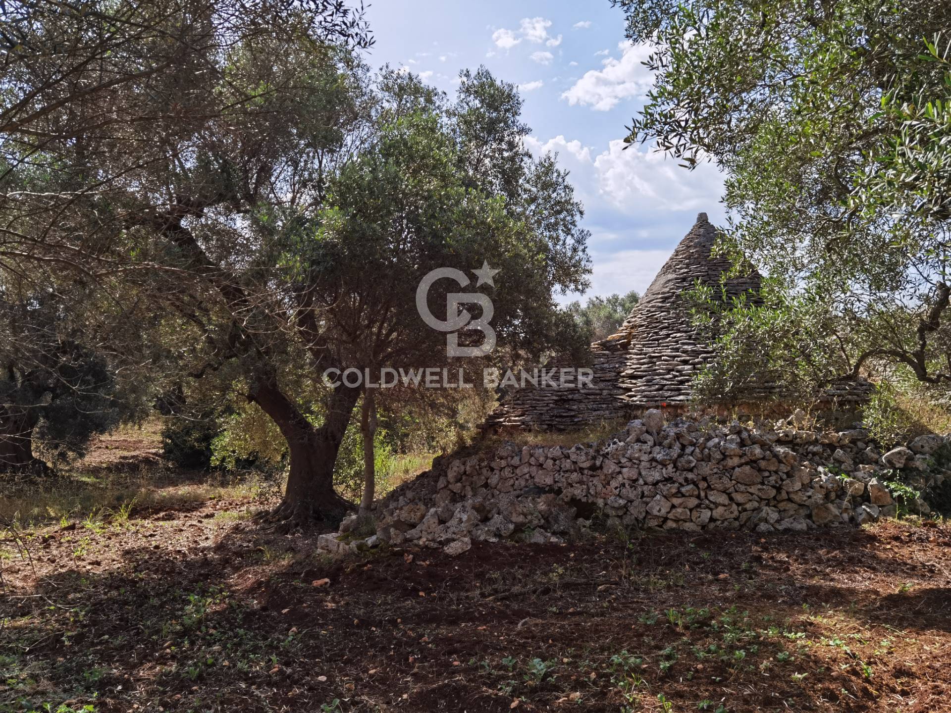 Trullo in vendita a Ceglie Messapica
