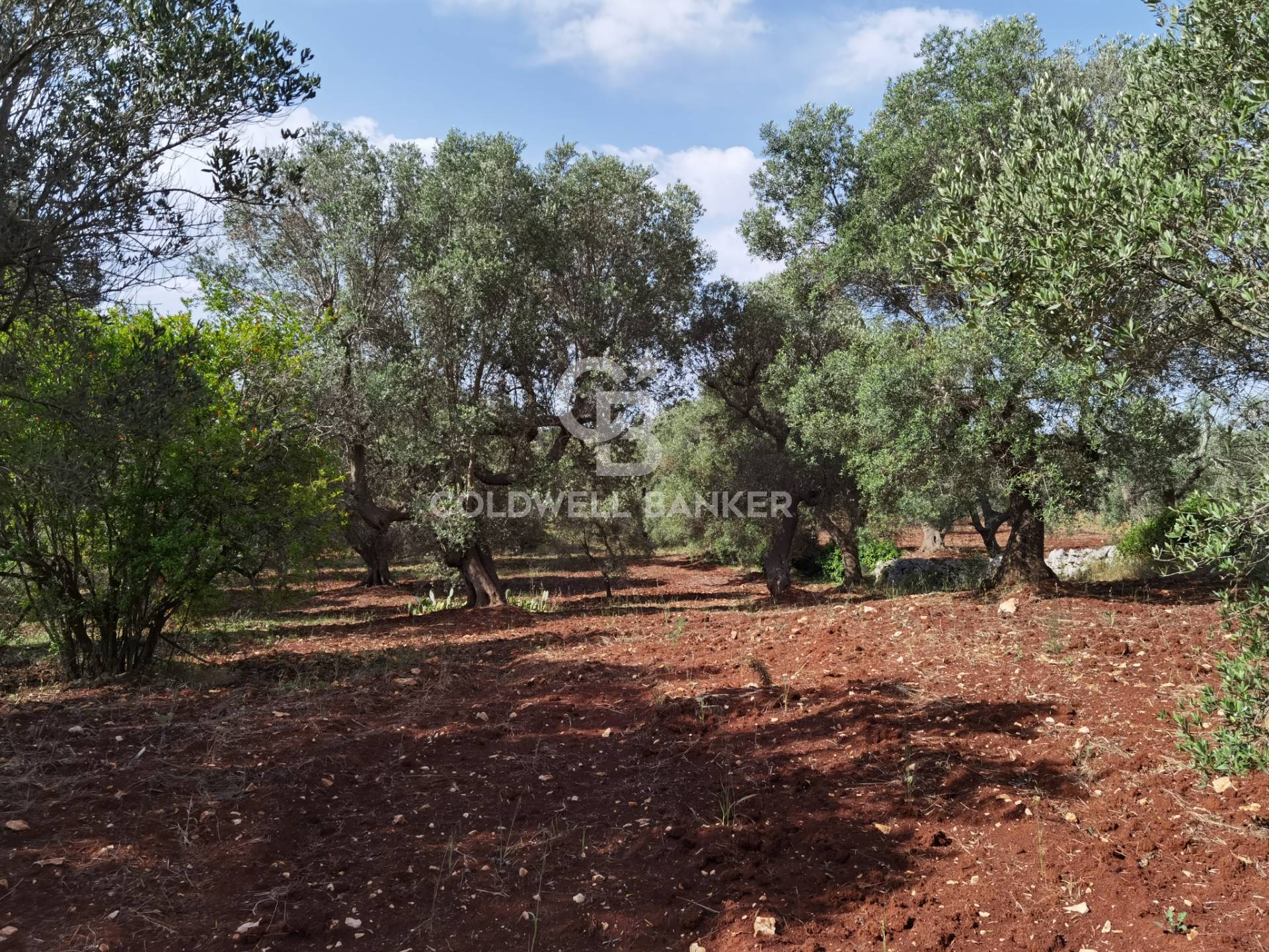 Trullo in vendita a Ceglie Messapica
