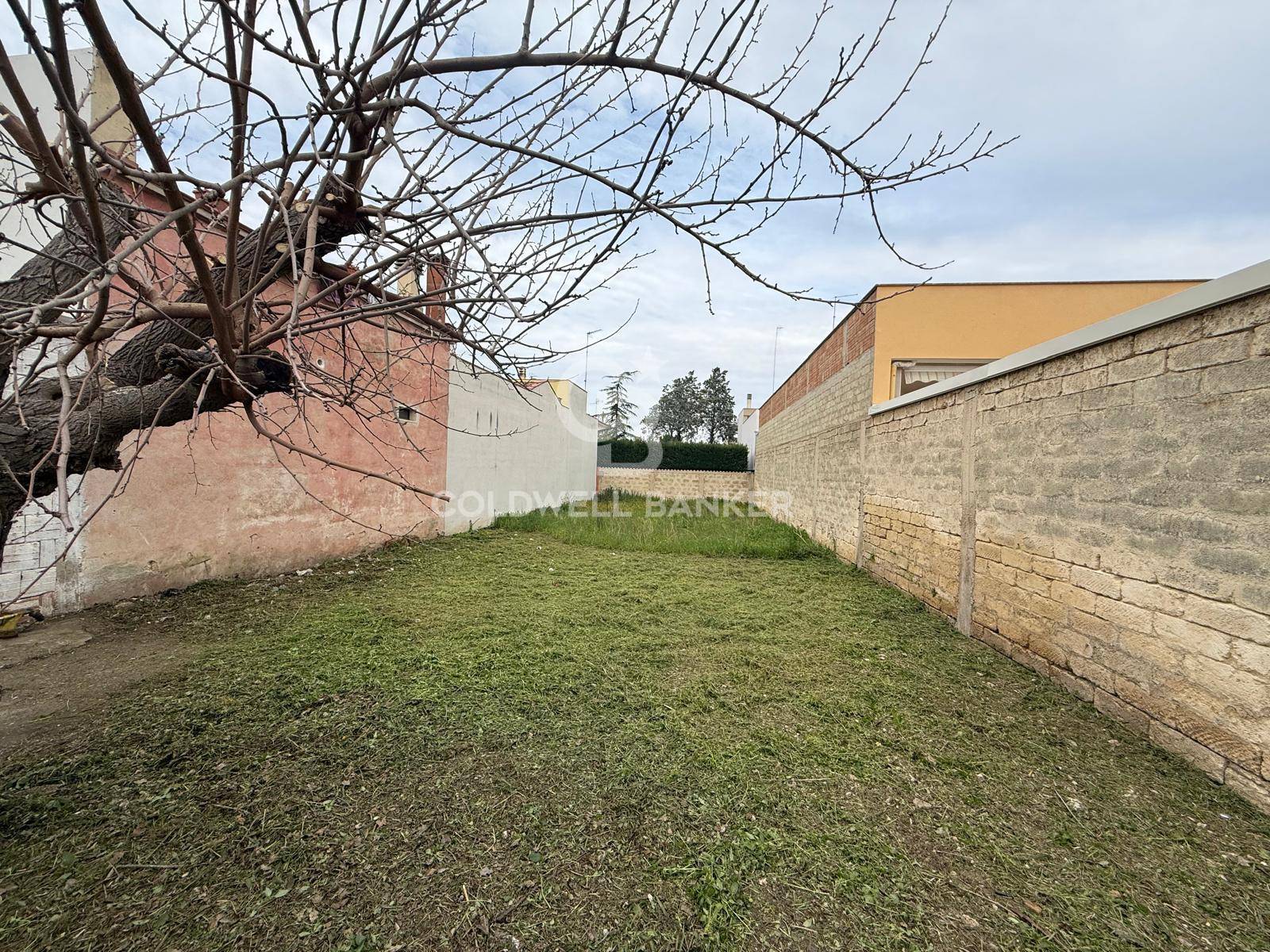 immagine annuncio 3 di 6