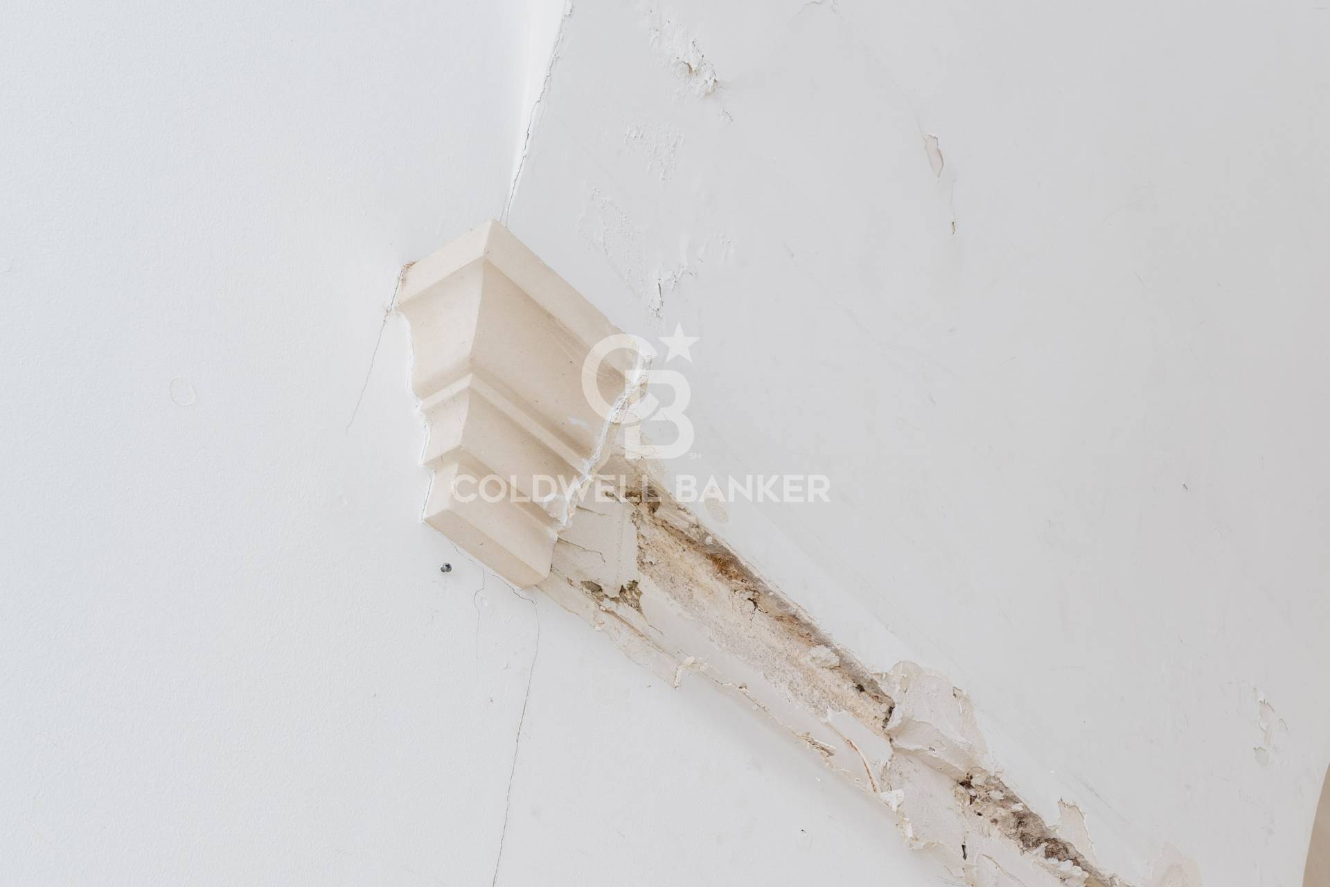 Locale commerciale in vendita a Galatina