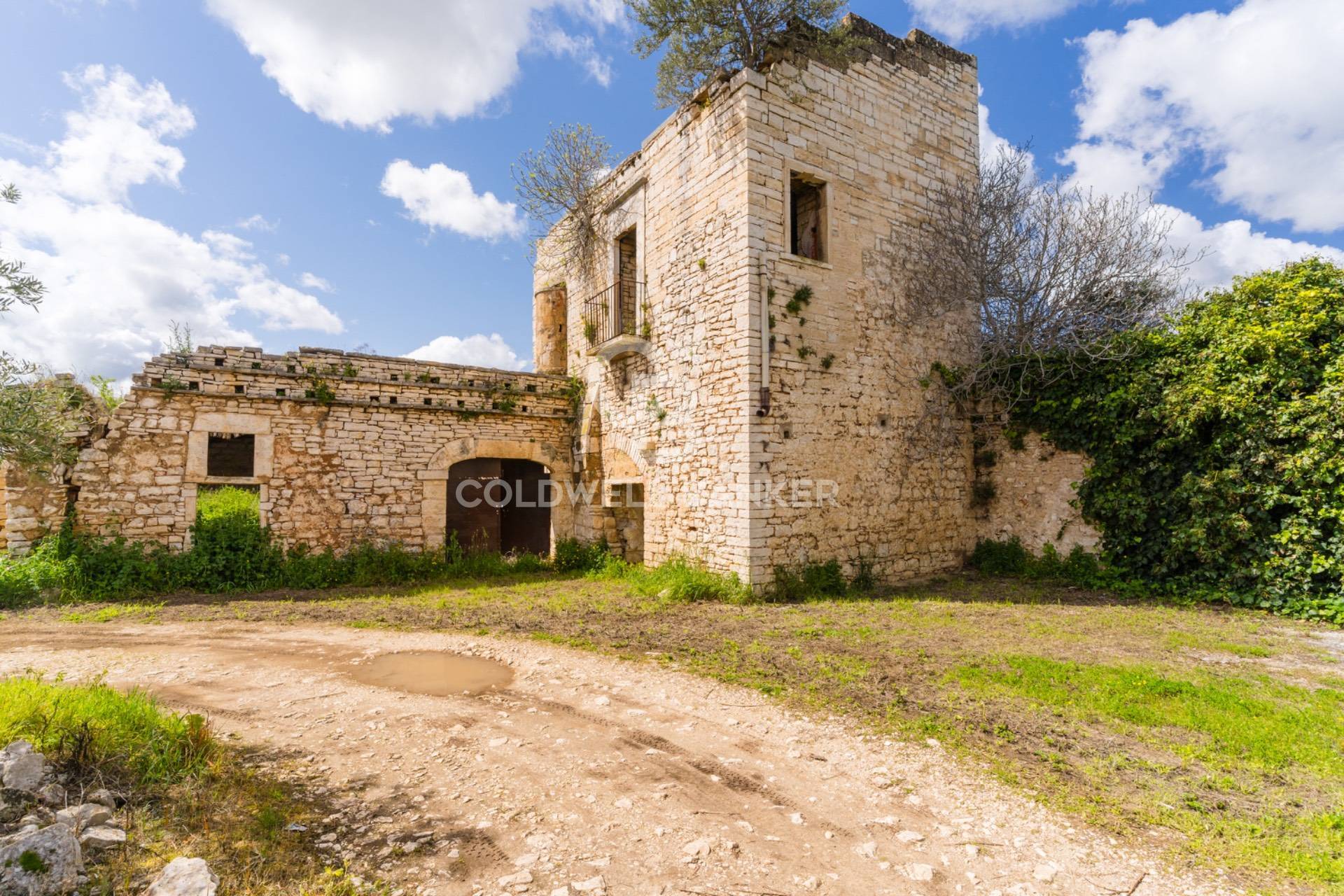Terreno agricolo in vendita a Ruvo di Puglia