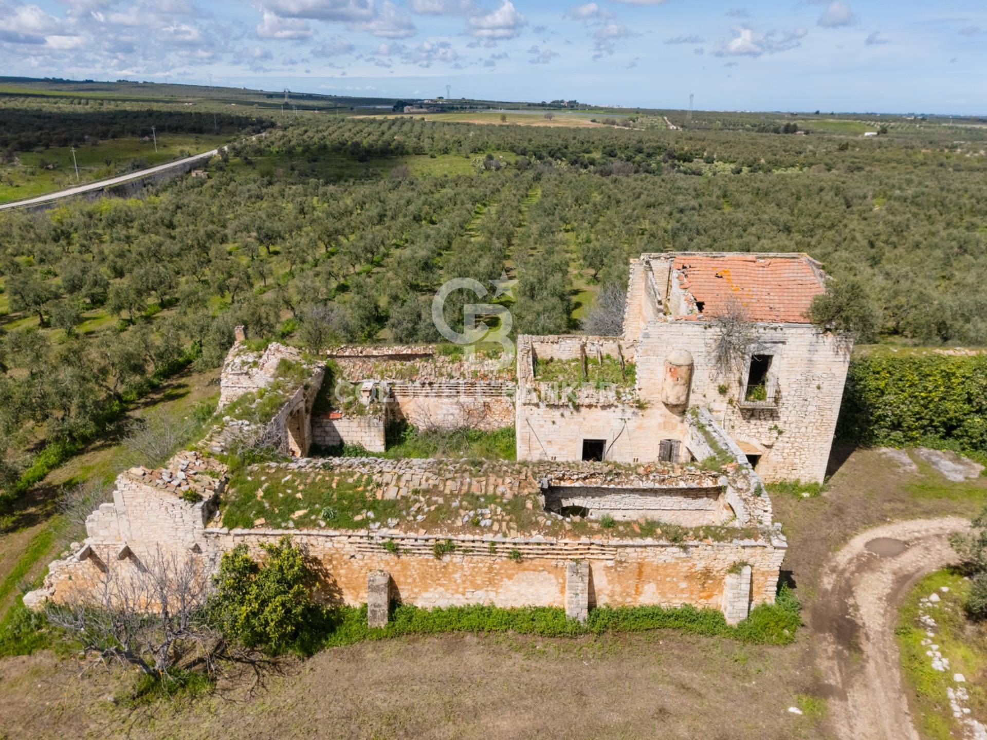 Terreno agricolo in vendita a Ruvo di Puglia