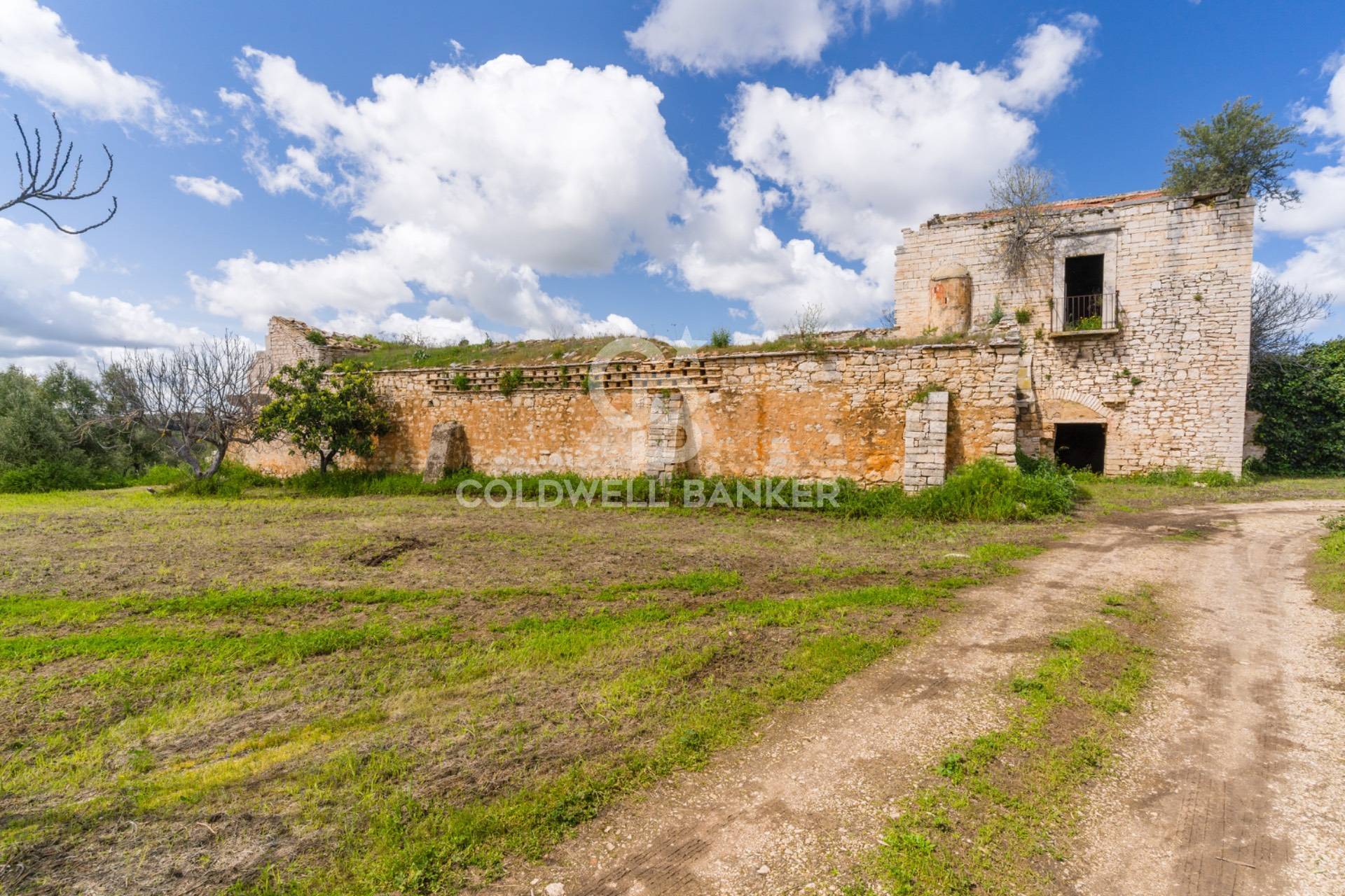 Terreno agricolo in vendita a Ruvo di Puglia