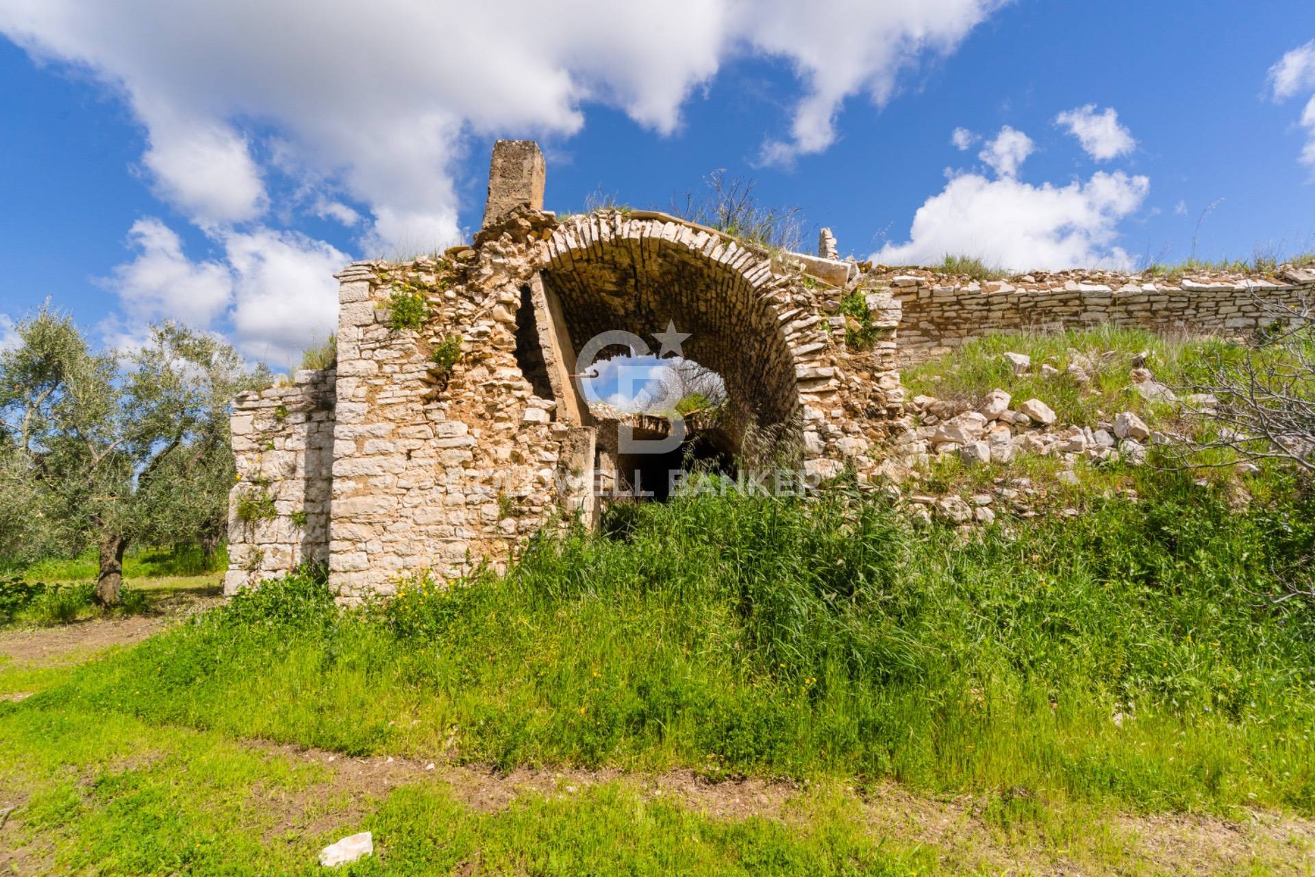 Terreno agricolo in vendita a Ruvo di Puglia