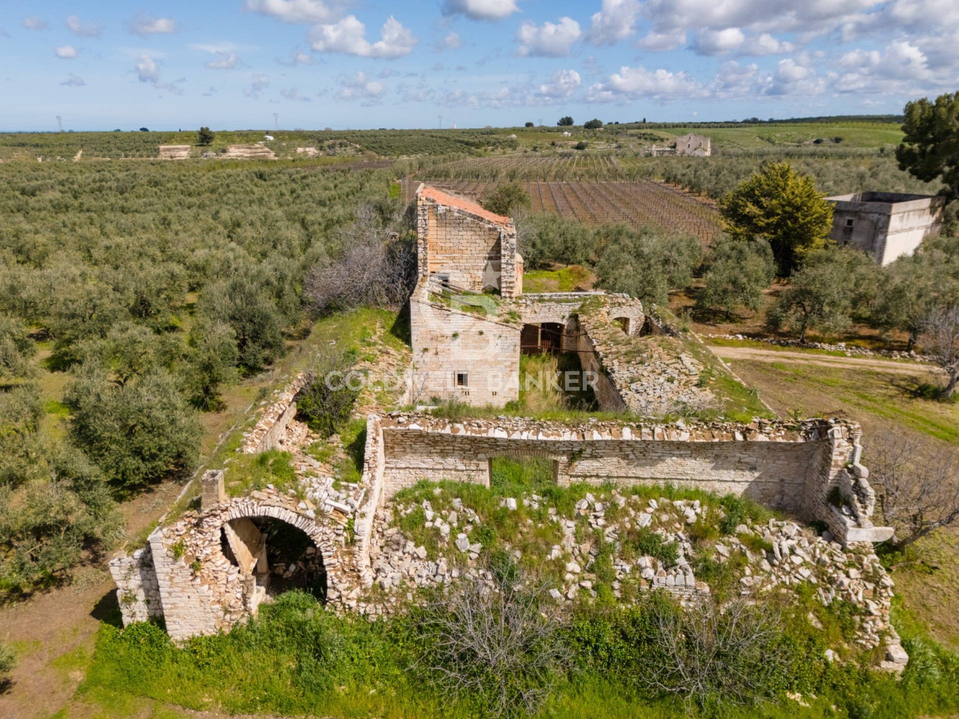 Terreno agricolo in vendita a Ruvo di Puglia