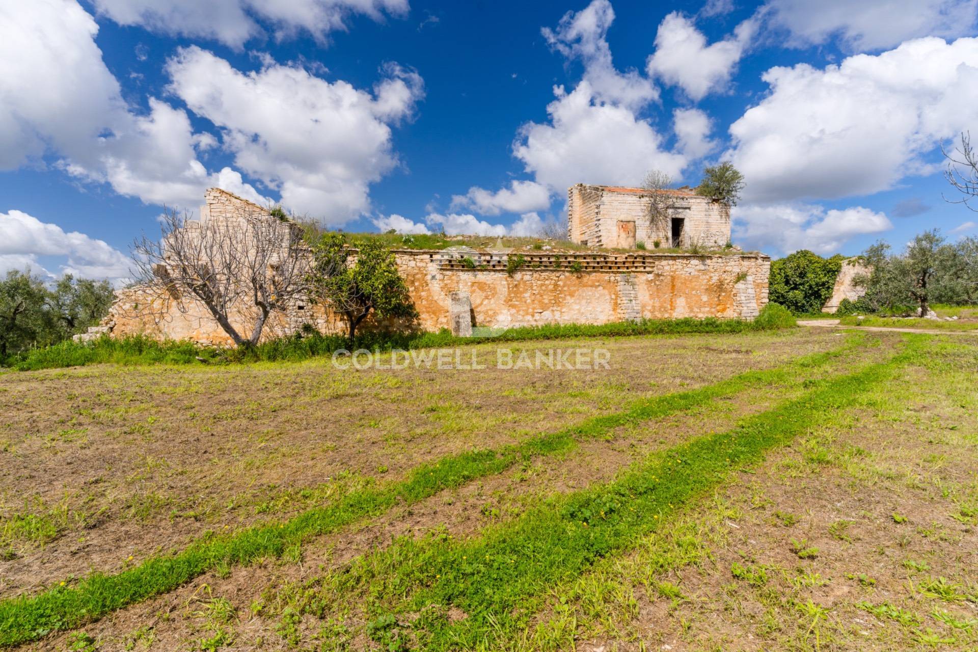 Terreno agricolo in vendita a Ruvo di Puglia