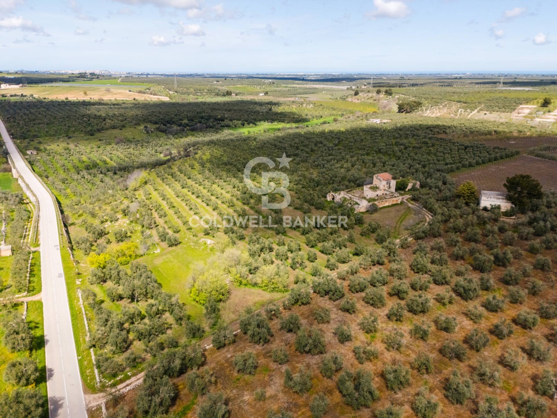 Terreno agricolo in vendita a Ruvo di Puglia