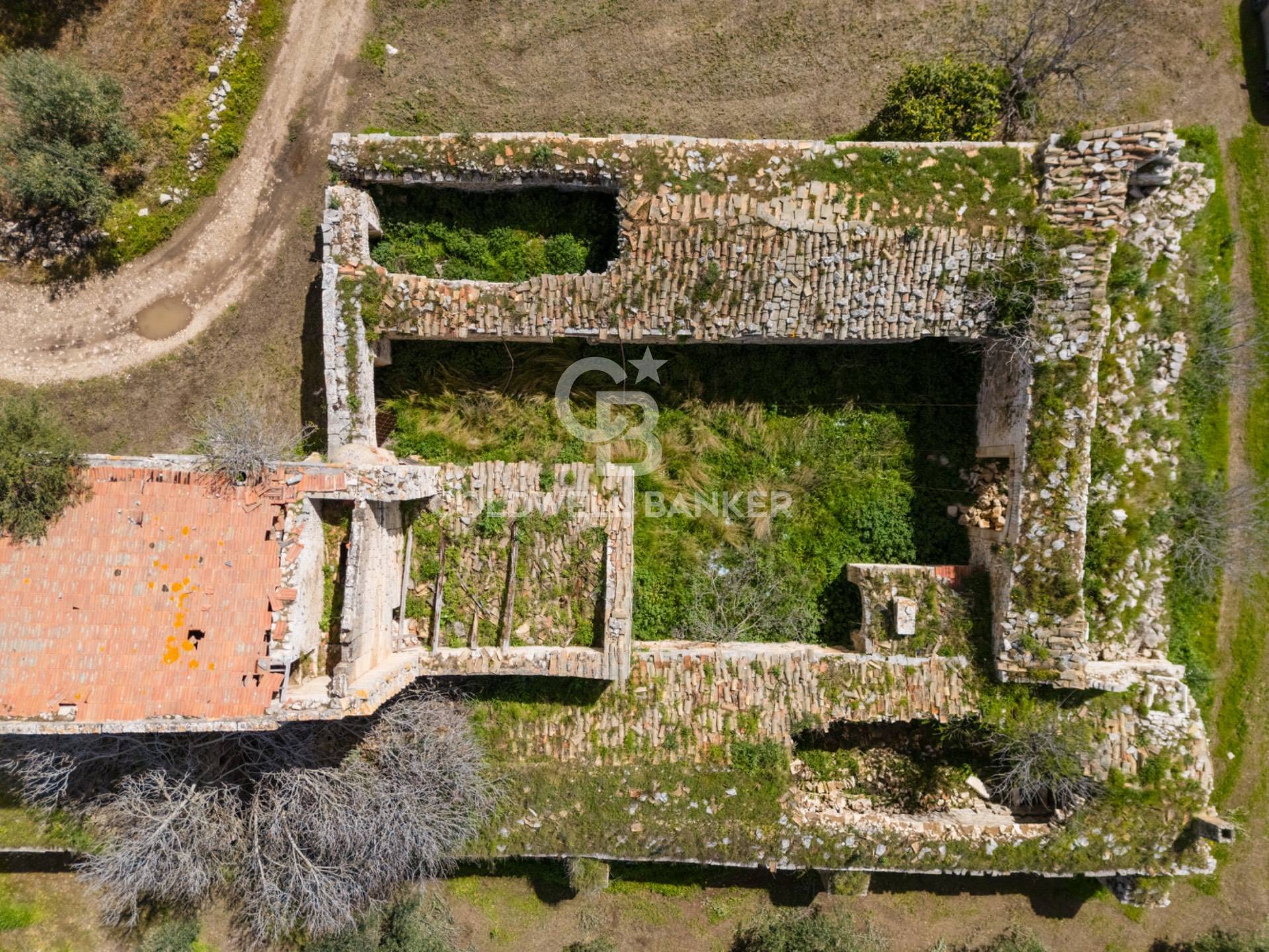 Terreno agricolo in vendita a Ruvo di Puglia